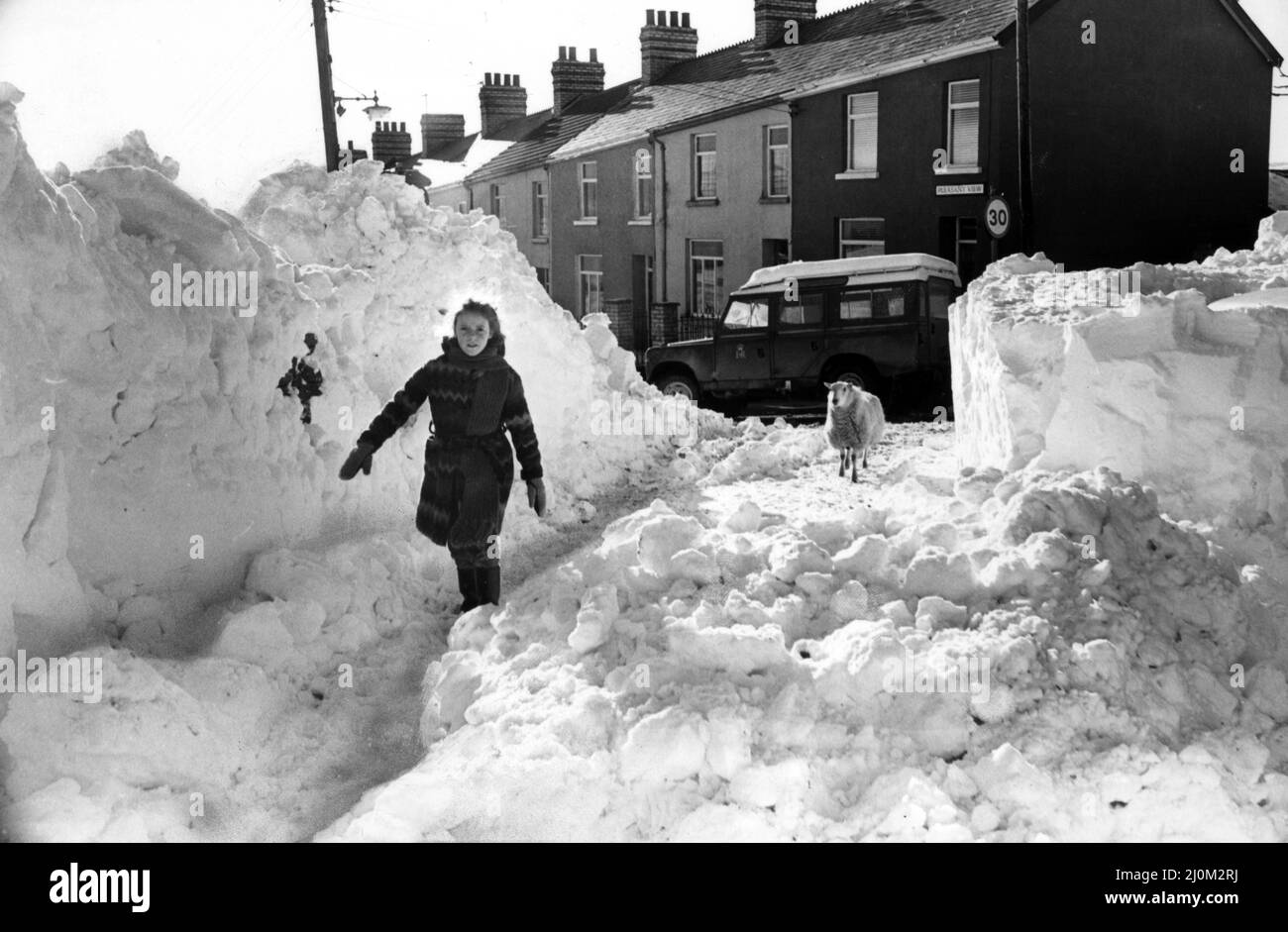 A Bedlinog, un ricordo del 30mph, ma è solo una via pedonale. Riassumendo la scena delle valli è una pecora di forlorn. 14th gennaio 1982. Foto Stock