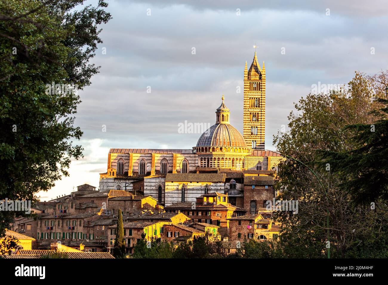 Cattedrale di Siena Duomo Foto Stock