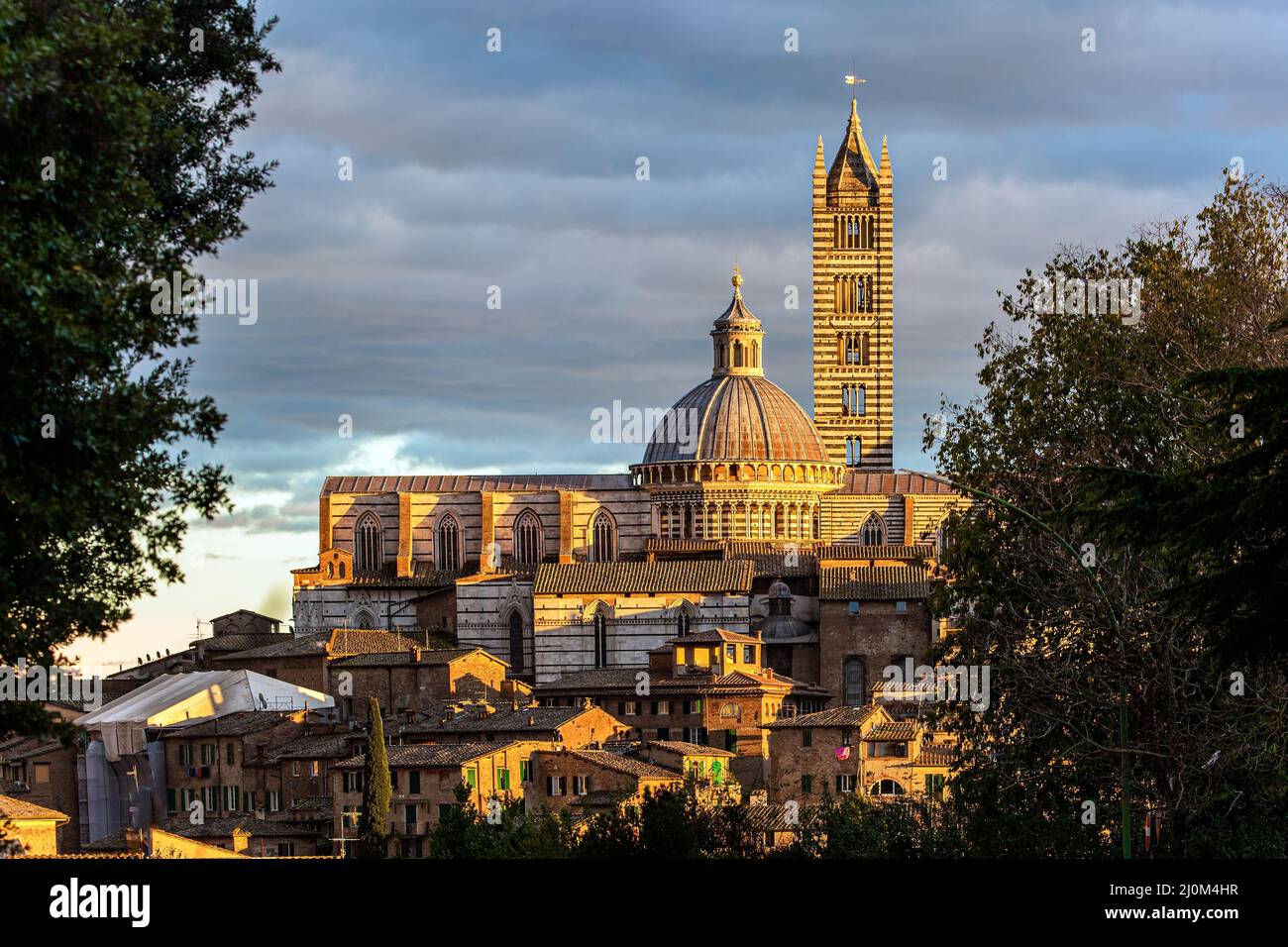 Duomo di Siena. Tramonto Foto Stock