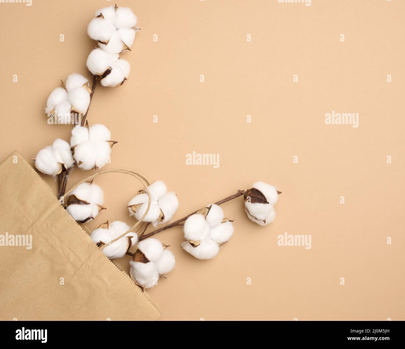 Sacco di carta marrone e ramo con fiori di cotone su sfondo marrone chiaro, Foto Stock