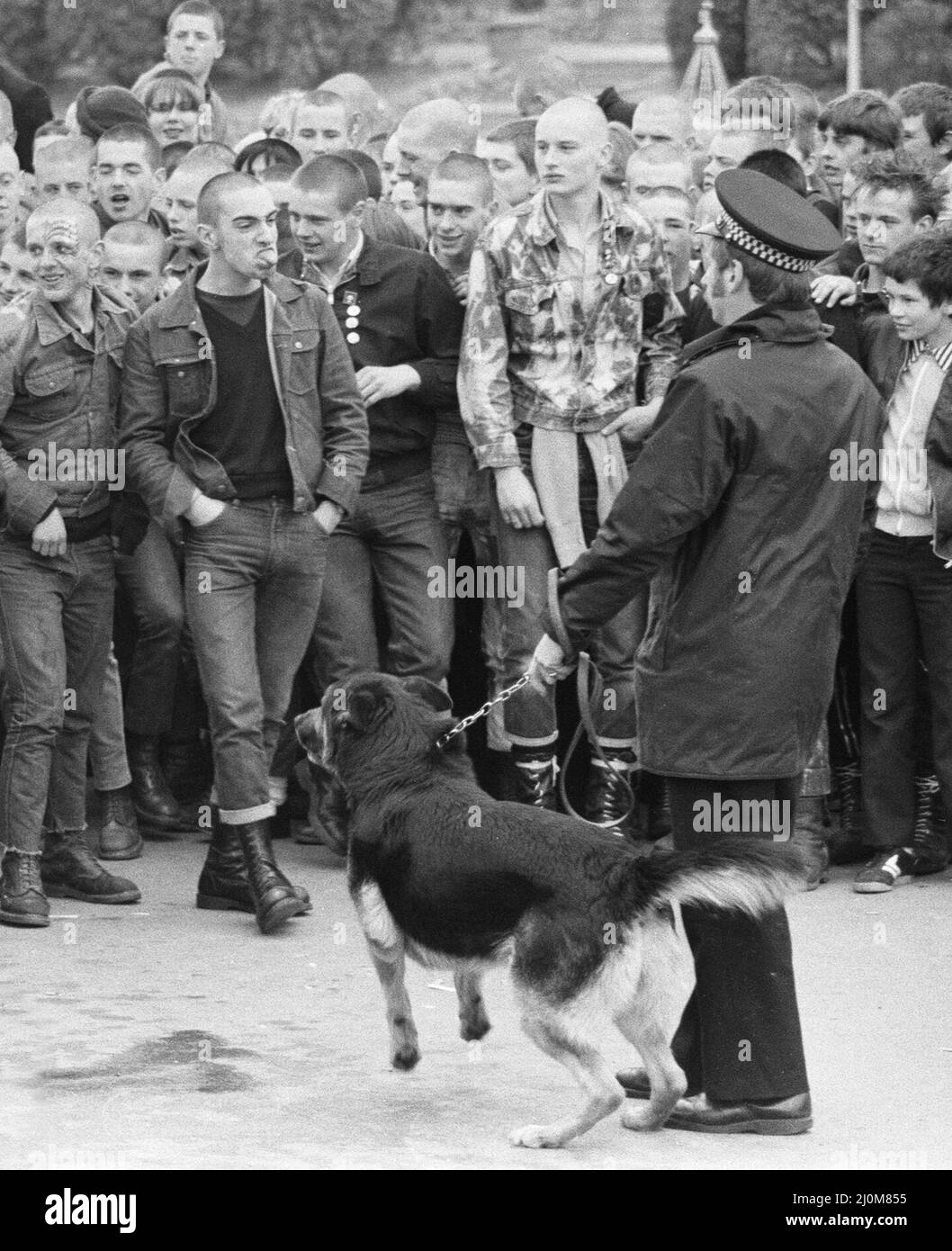 Giorno di Pasqua in stile skinhead. Gang di colla che sniffing hooligans rampaged attraverso Southend urlando e giurando, abbaiando nei holidaymakers e bussando sopra stalli.hanno trasformato il loro abuso sui addestratori del cane della polizia quando sono stati arrotondati in su prima di essere scappati dalla città. 'sieg heil' cantarono. 'Heil.' Un poliziotto ha detto: "Alcuni erano così alti sulla colla che hanno persino cercato di prendere sui cani. Circa 700 furono arroccati in un treno già vandalizzato e rimandati a Londra. Altri 150, alcuni giovani come dieci e undici sono stati arrestati per combattere o trasportare coltelli e tubature di piombo. 12th aprile 1982 Foto Stock