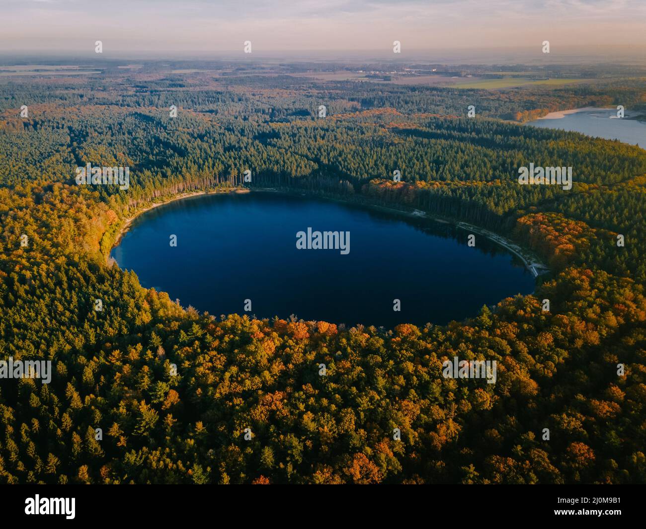 Colori autunnali con alberi rosso arancio nel mese di ottobre al parco nazionale Dracsche AA, alberi autunnali colorati nei Paesi Bassi Drenthe d Foto Stock