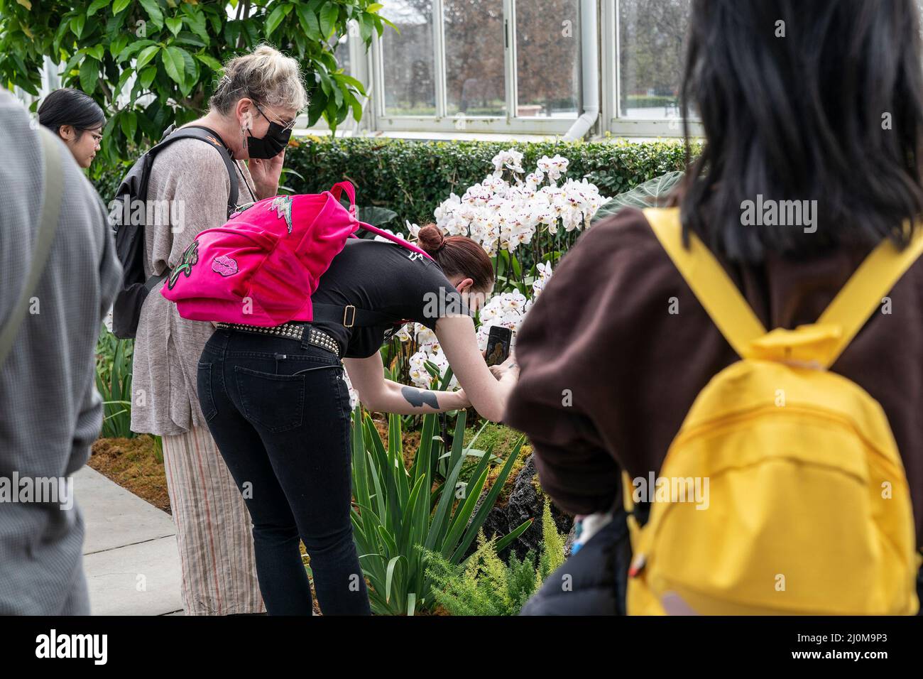 La gente visita lo spettacolo annuale delle orchidee primaverili al Giardino Botanico di New York. Lo spettacolo di quest'anno è stato creato dal designer Jeff Leatham, famoso direttore artistico del Four Seasons Hotel George V di Parigi e designer floreale per le stelle. Lo spettacolo si chiama caleidoscopio di Jeff Leatham. Le persone che entrano nel Conservatorio sono ancora consigliate di indossare maschere a causa della pandemia COVID-19. Gli spettacoli di Orchid sono stati cancellati per due anni a causa di una pandemia e sono ritornati in pieno swing quest'anno. (Foto di Lev Radin/Pacific Press) Foto Stock