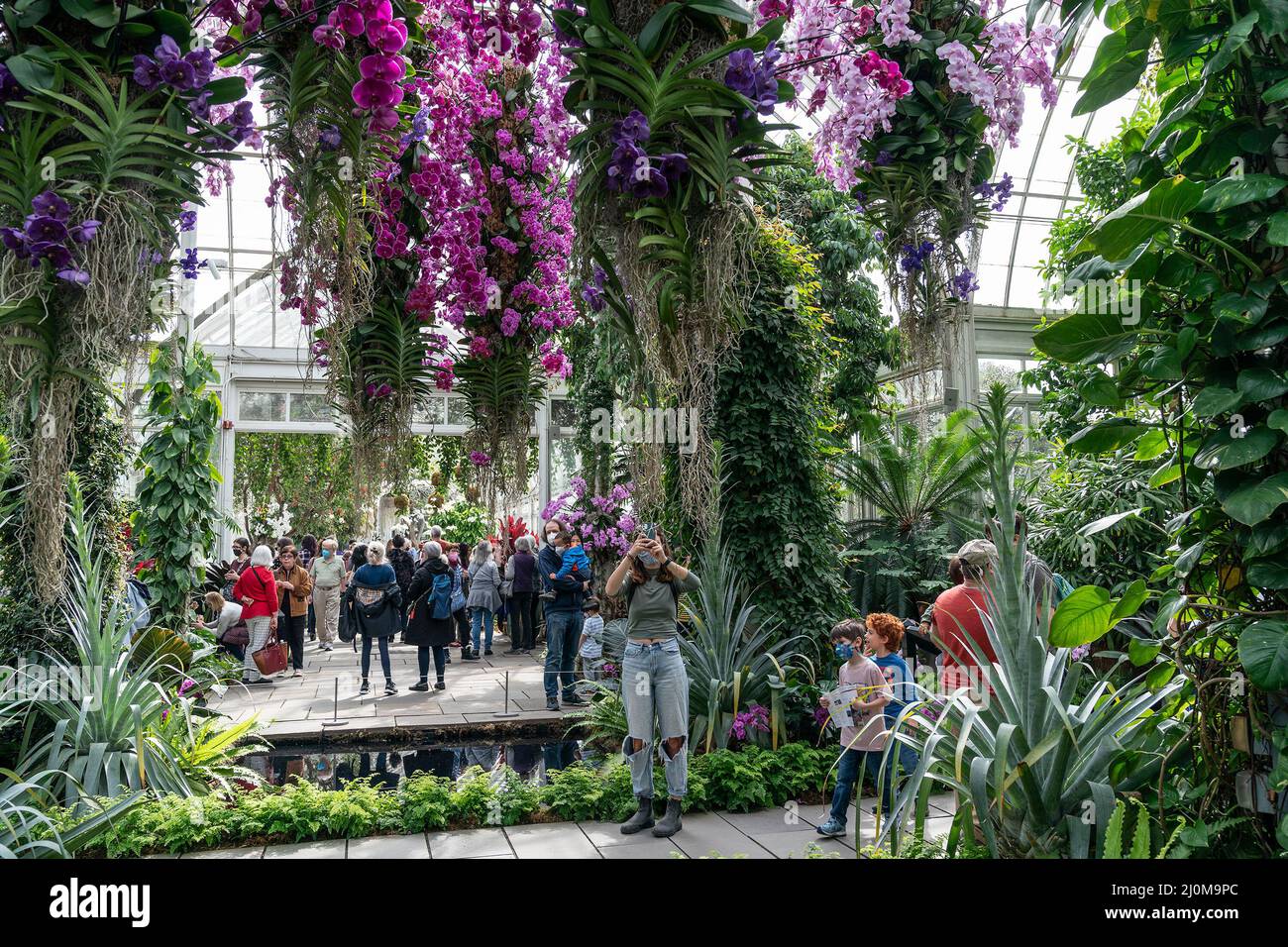 La gente visita lo spettacolo annuale delle orchidee primaverili al Giardino Botanico di New York. Lo spettacolo di quest'anno è stato creato dal designer Jeff Leatham, famoso direttore artistico del Four Seasons Hotel George V di Parigi e designer floreale per le stelle. Lo spettacolo si chiama caleidoscopio di Jeff Leatham. Le persone che entrano nel Conservatorio sono ancora consigliate di indossare maschere a causa della pandemia COVID-19. Gli spettacoli di Orchid sono stati cancellati per due anni a causa di una pandemia e sono ritornati in pieno swing quest'anno. (Foto di Lev Radin/Pacific Press) Foto Stock