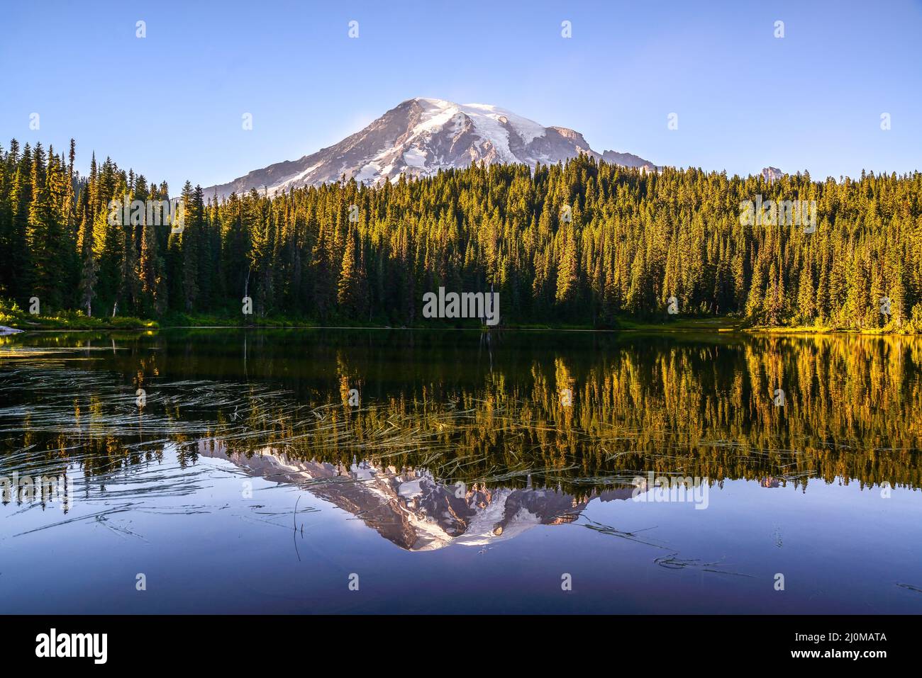 Mount Rainier con Reflection Lake, Washington-USA Foto Stock