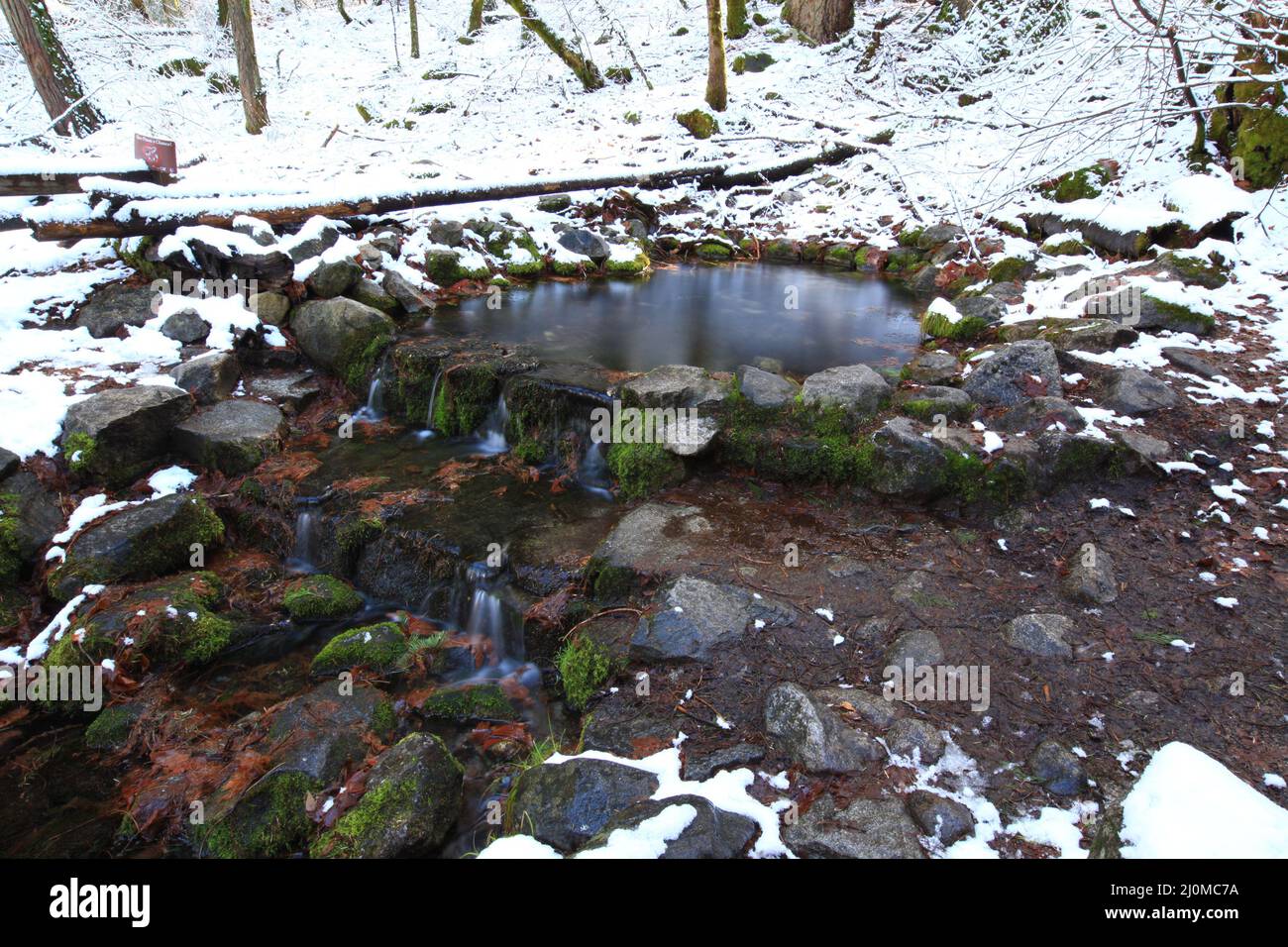 Fern Spring nel Parco Nazionale di Yosemite Foto Stock