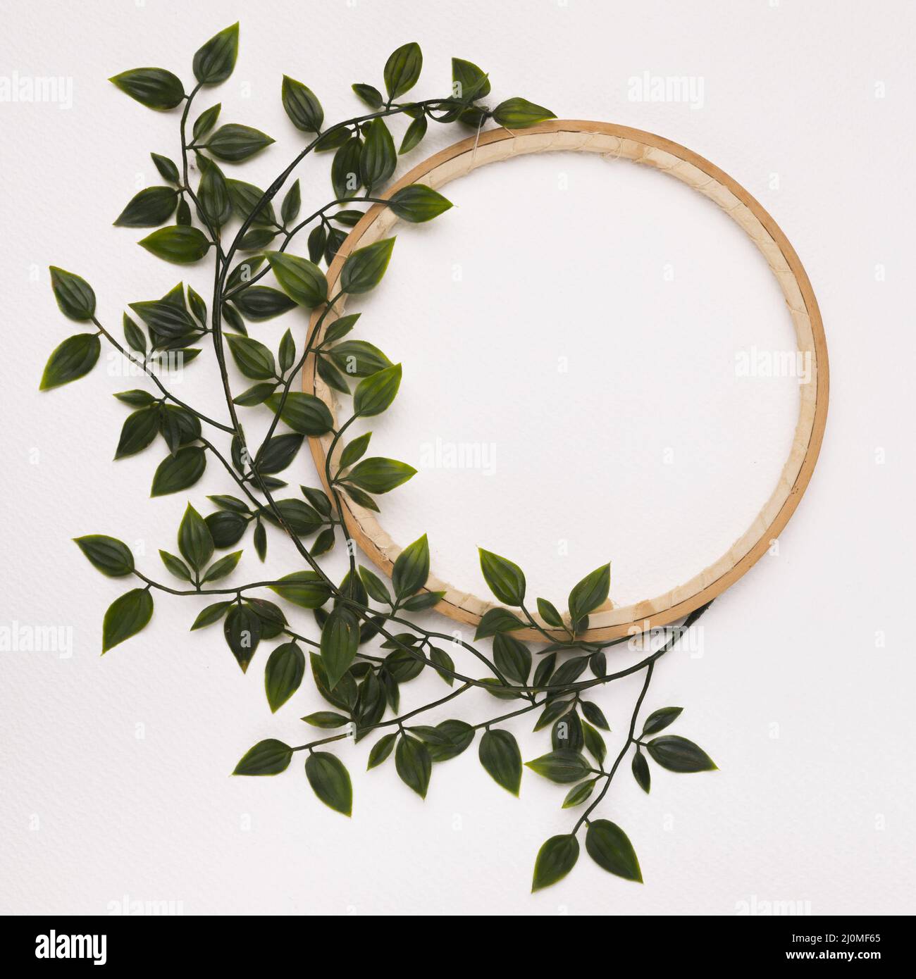 Foglie verdi decorate cornice circolare in legno su sfondo bianco Foto Stock