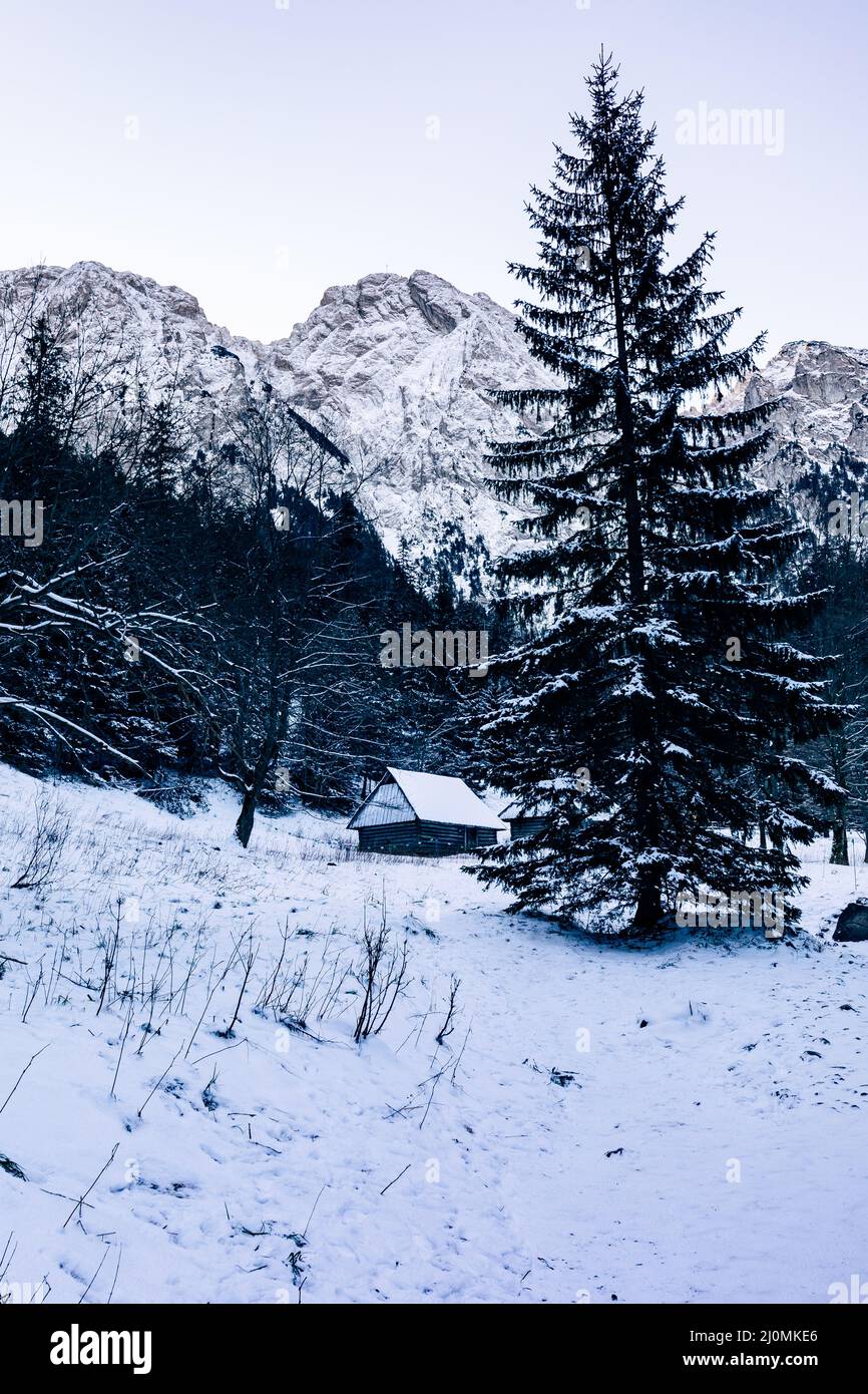 Montanari di Tatra in inverno. Vista sulle bianche vette innevate, sulle montagne invernali ghiacciate. Kasprowy Wierch, High Tatra, Polonia, Europa. Foto Stock
