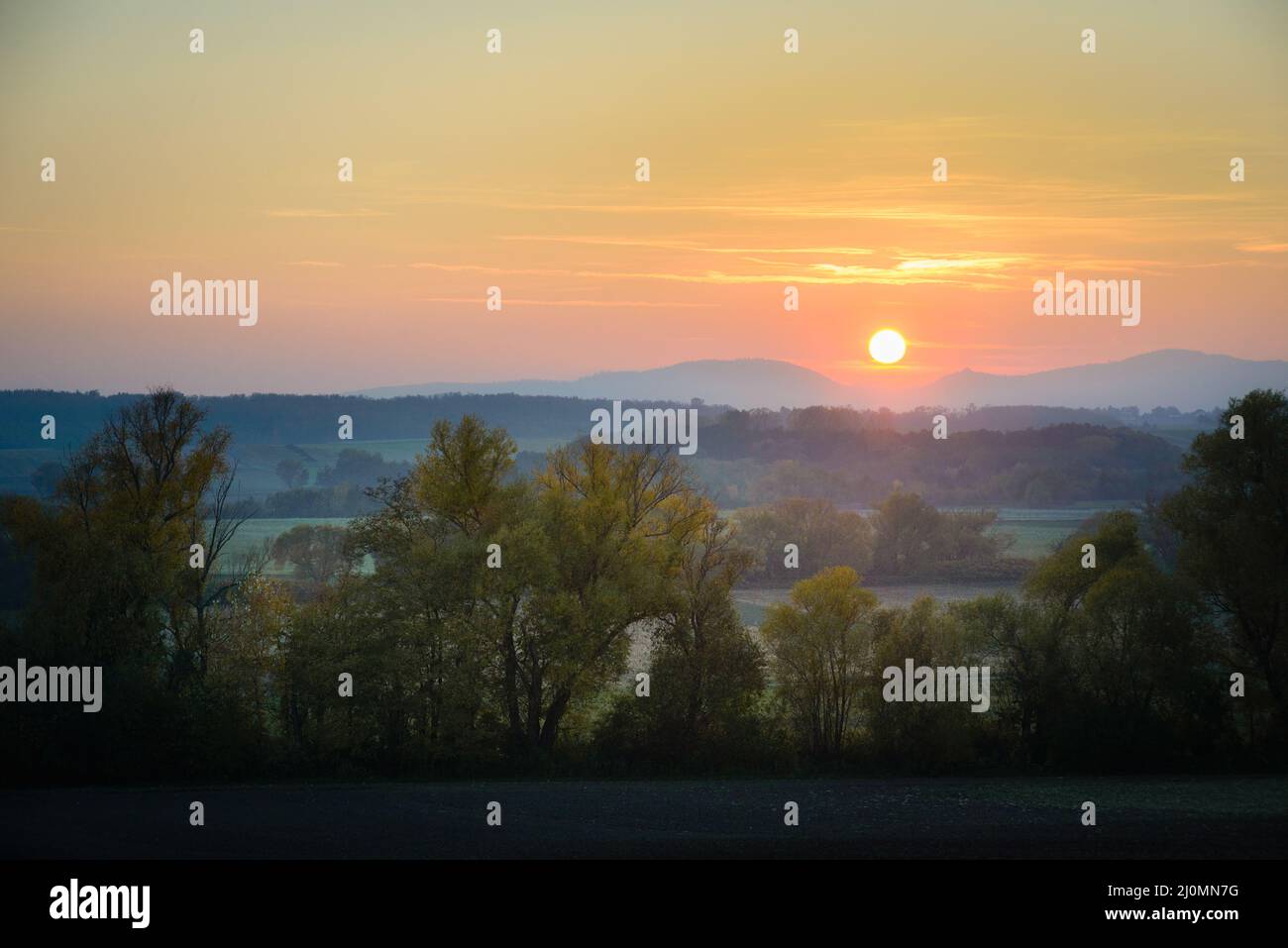 Parco autunnali. In autunno gli alberi e le foglie. Caduta Foto Stock