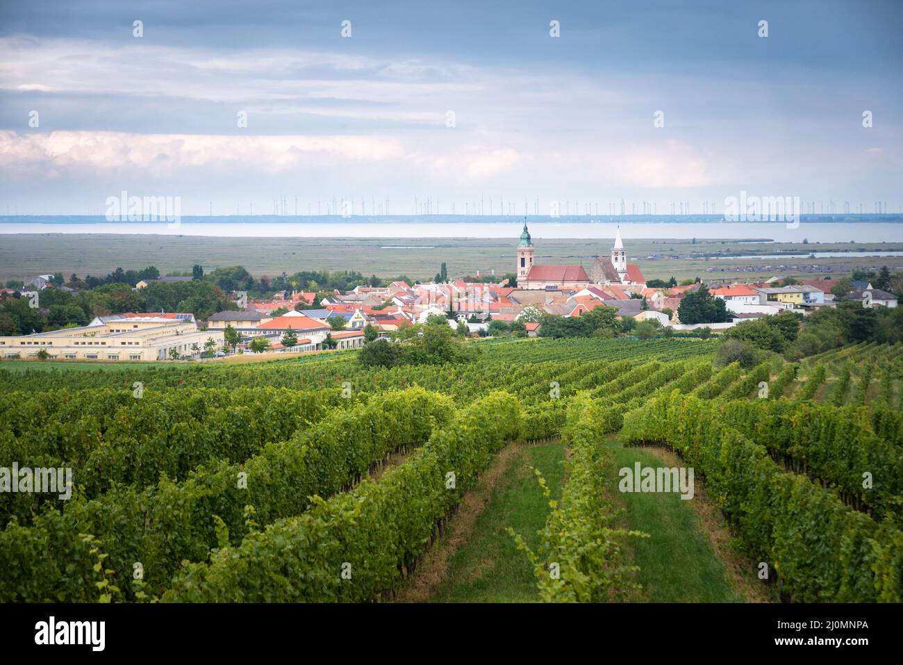 Villaggio del vino di Rust in Burgenland, Neusiedler See, Austria Foto Stock