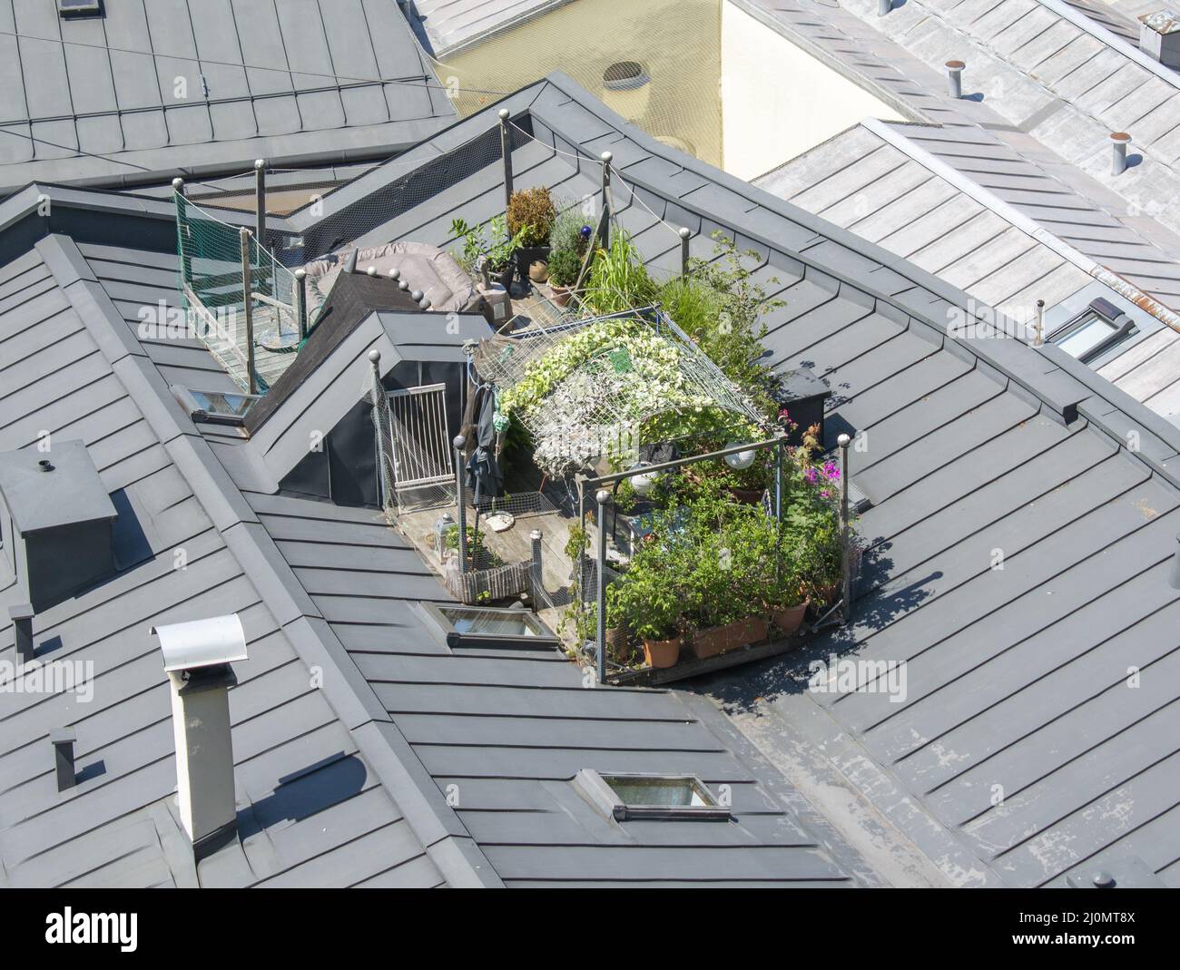 Giardino urbano sul tetto. Oasi verde in cima al tetto. Salisburgo. Austria. Foto Stock