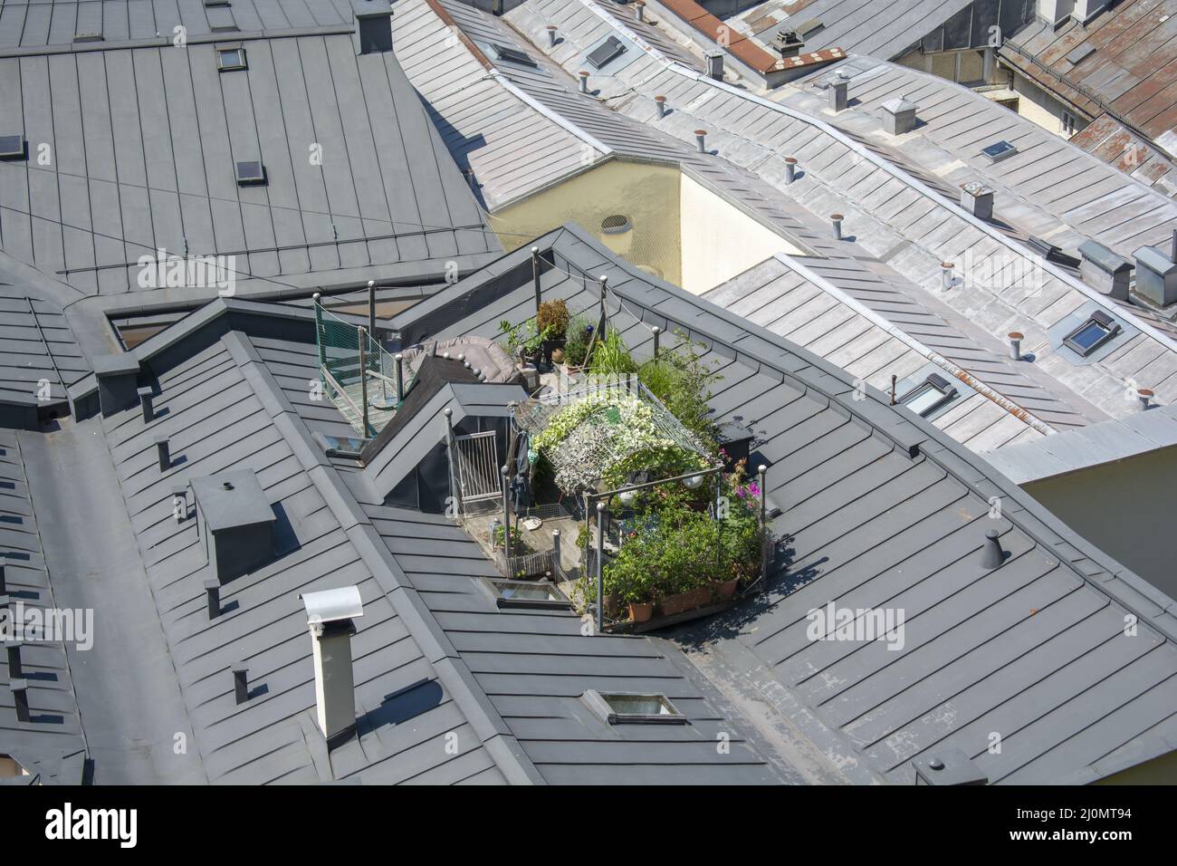 Giardino urbano sul tetto. Oasi verde in cima al tetto. Salisburgo. Austria. Foto Stock