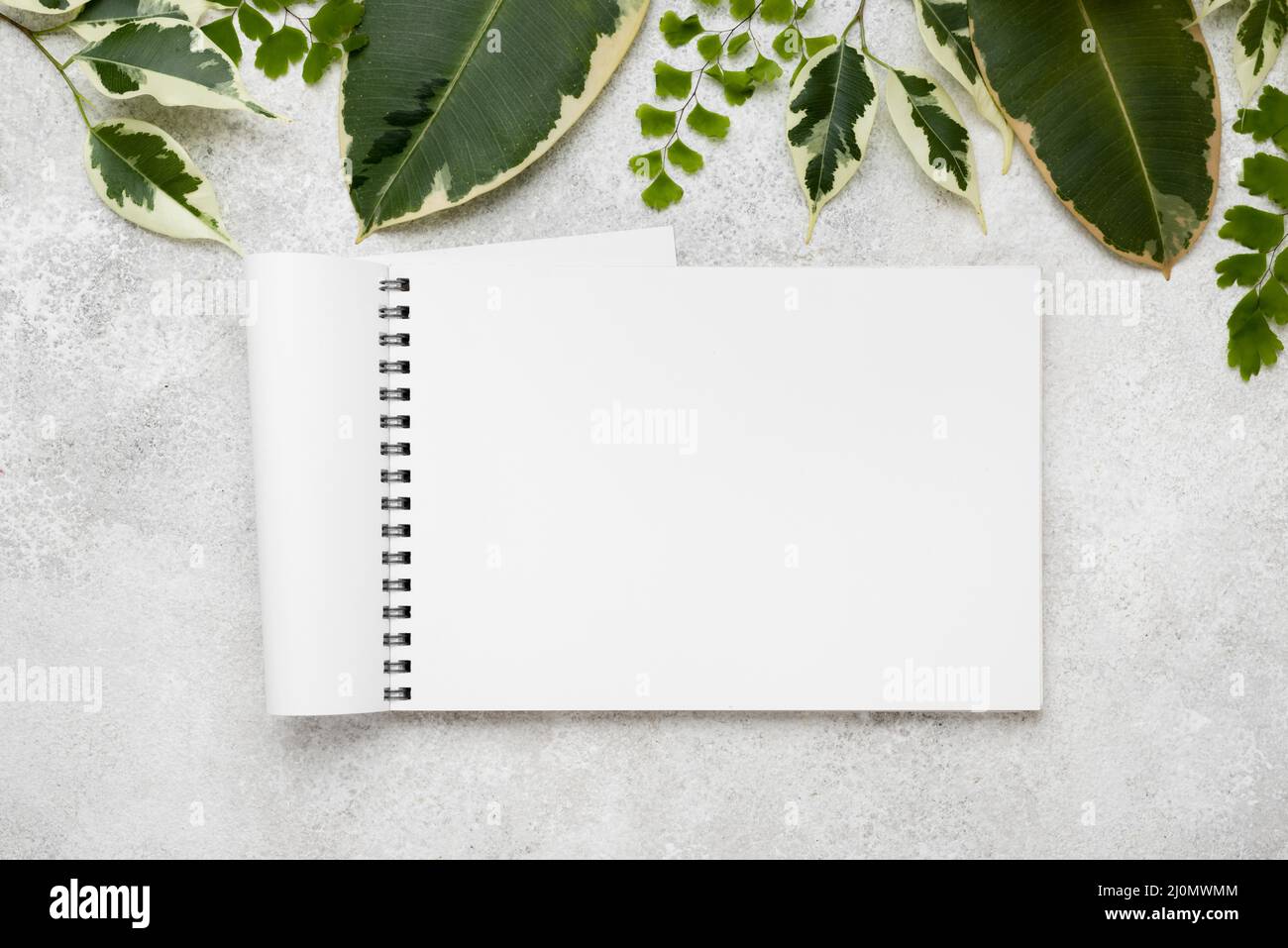 Flat Lay bella pianta foglie con taccuino Foto Stock