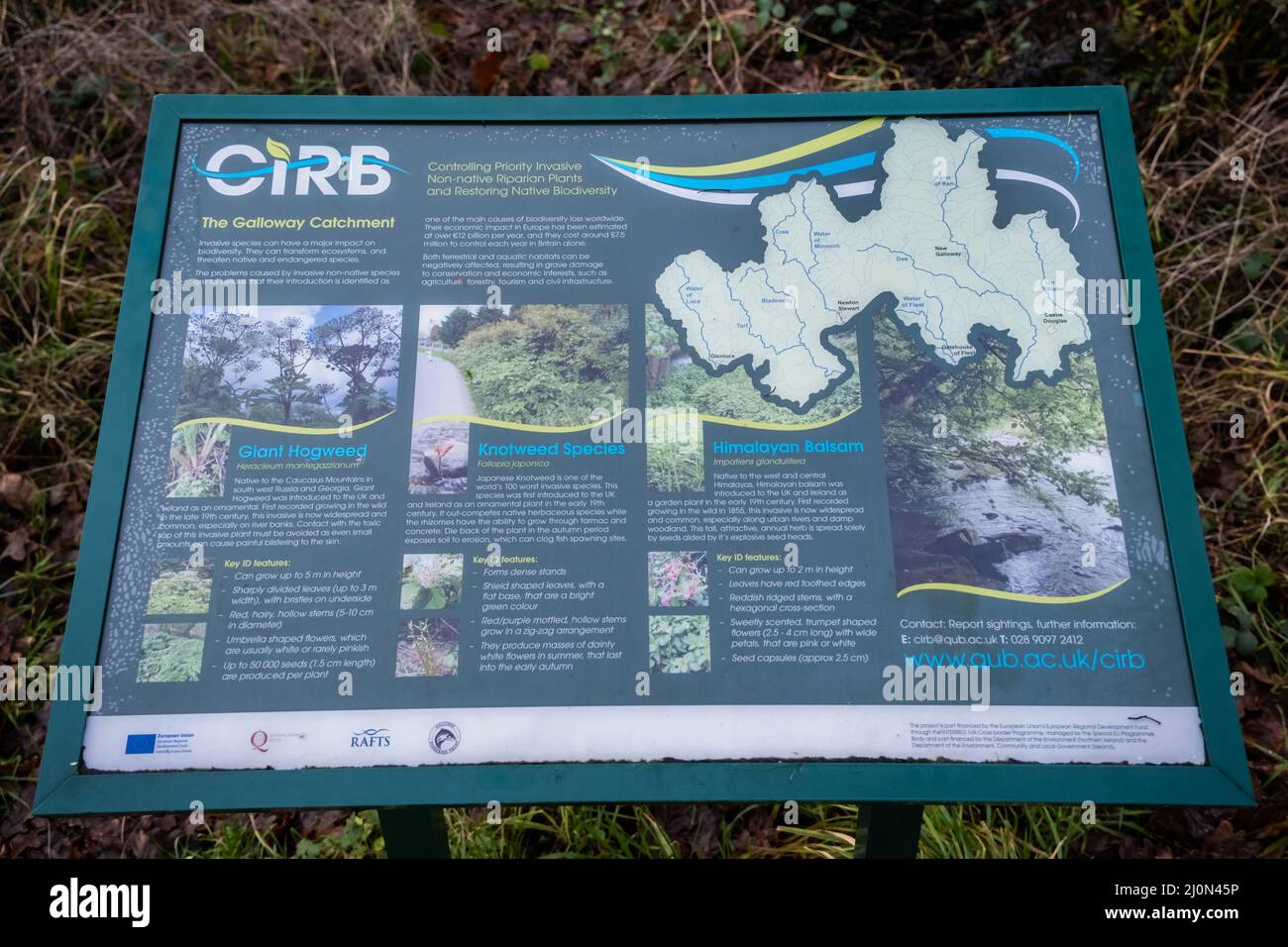 Threave, Scozia - Dicembre 28th 2021: CIRB che controlla le piante ripariali invasive e non native e ristabilendo il segno di informazione nativo di biodiversità Foto Stock