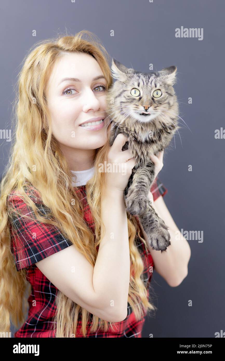 Sorridendo donna dai capelli lunghi in un abito a pié tiene un gatto soffice tabby sulla spalla. Fuoco sul volto della ragazza Foto Stock