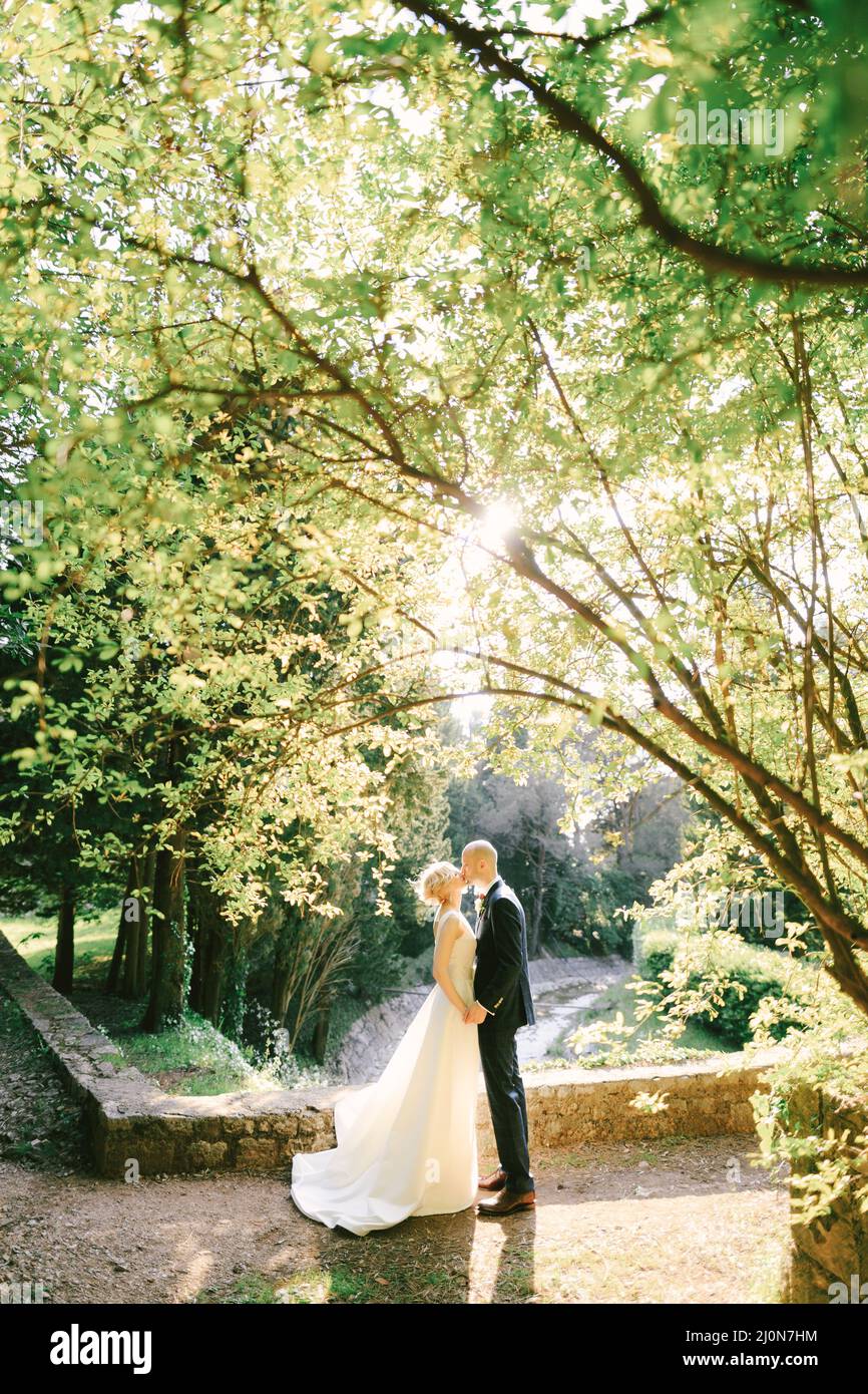 Indossa un vestito nero che tiene le mani e baci sposati in un abito bianco, in piedi su un sentiero in un parco verde vicino a una recinzione di pietra Foto Stock