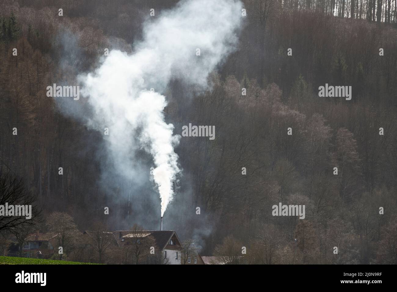 Riscaldamento a legna privato, Germania, Europa Foto Stock