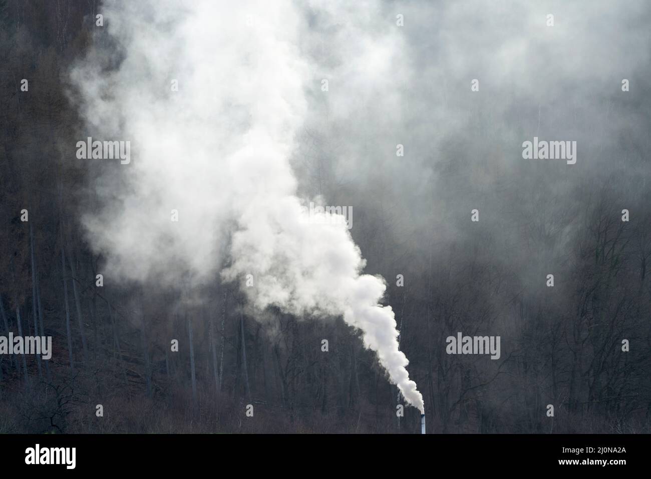 Riscaldamento a legna privato, Germania, Europa Foto Stock