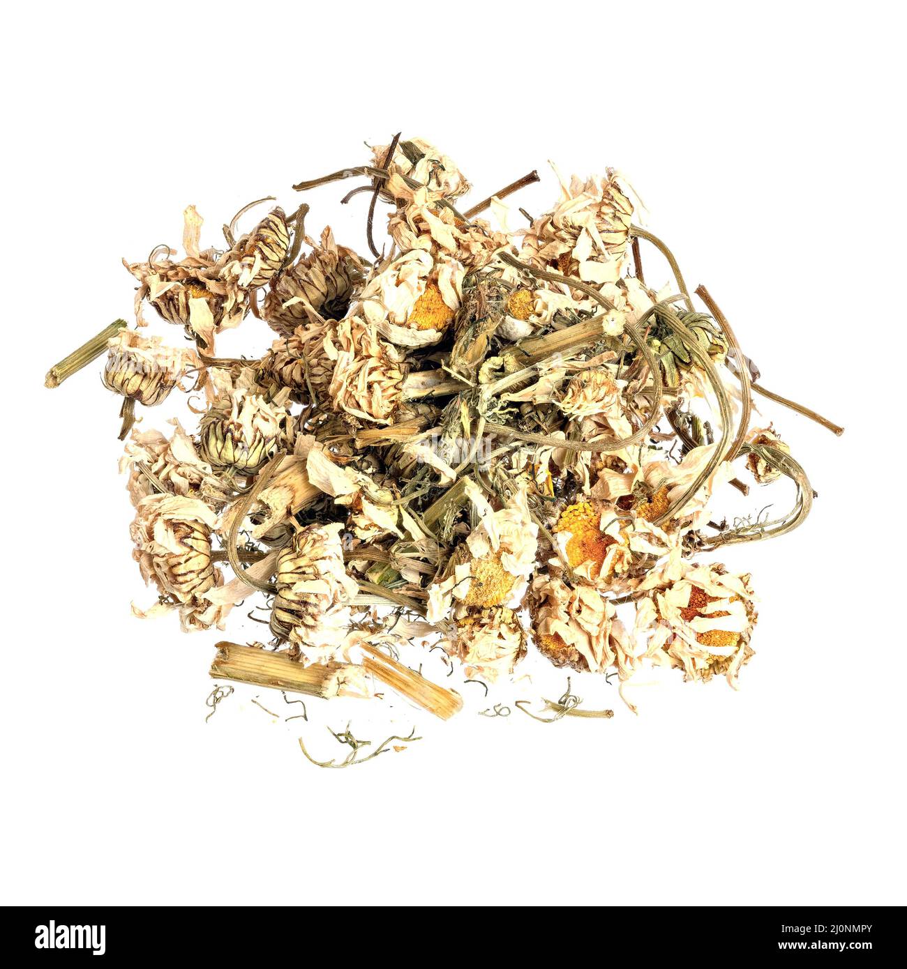 Un mucchio di fiori di camomilla secchi su sfondo bianco. Foto Stock