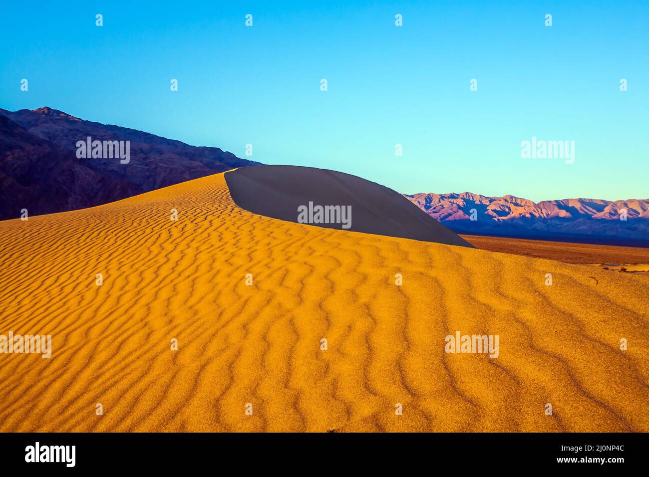 Le dune della Death Valley, USA Foto Stock
