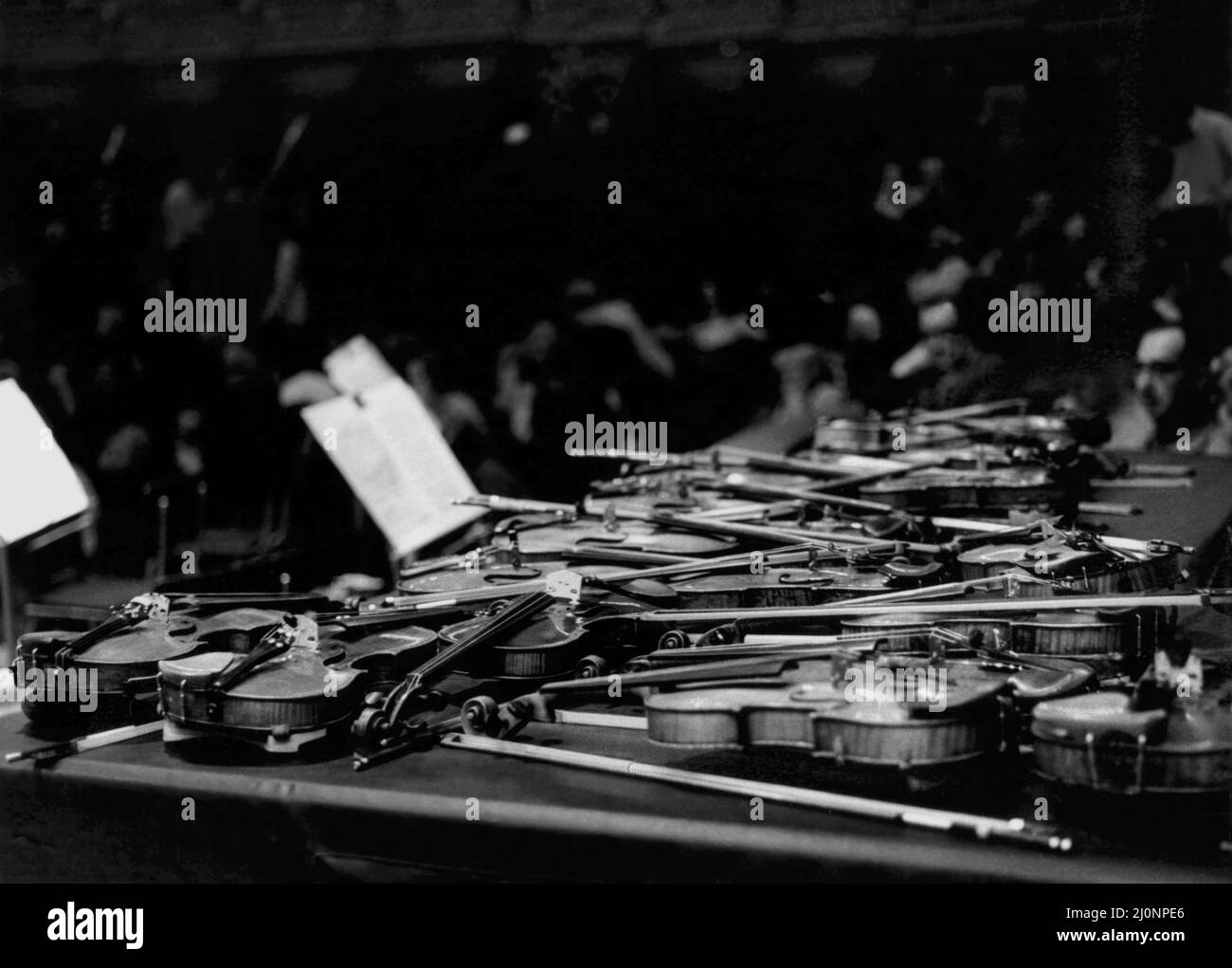 Violini a riposo durante una pausa in una sala da concerto Foto Stock