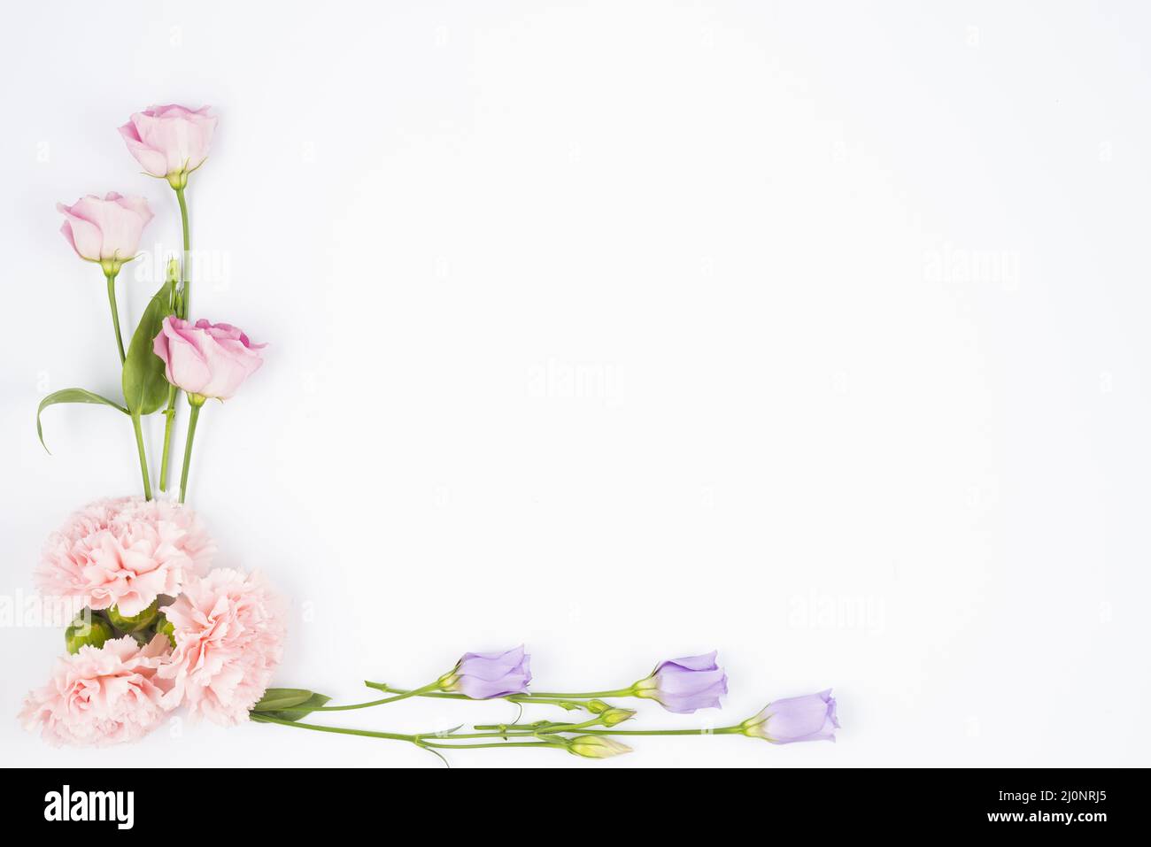Fiori pallidi incorniciatura angolo . Alta qualità e risoluzione bellissimo concetto di foto Foto Stock