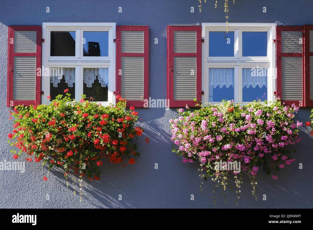 Facciata della casa con finestre e scatola di fiori, Baviera, Germania Foto Stock