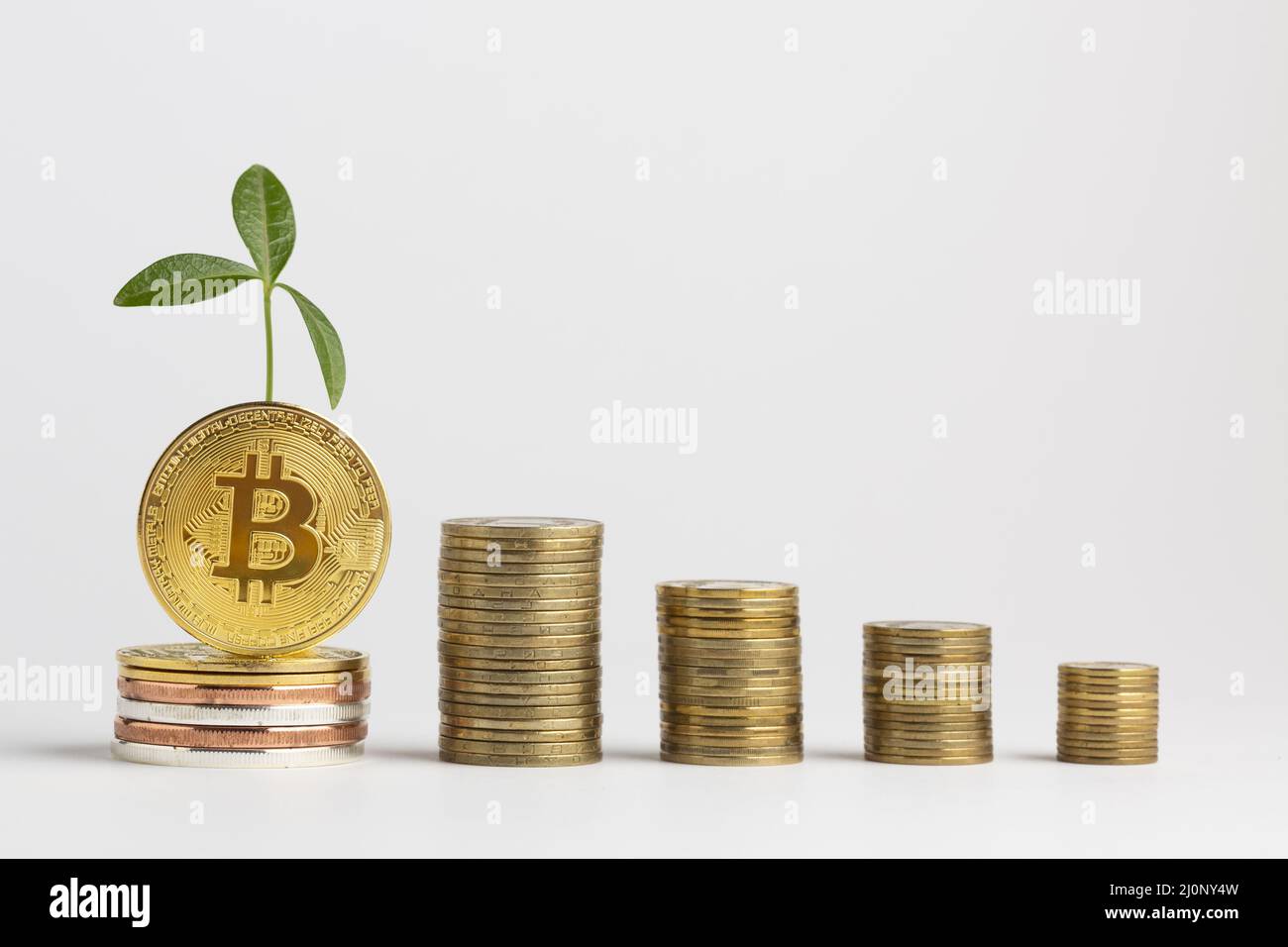 Pile bitcoin con pianta . Alta qualità e risoluzione bellissimo concetto di foto Foto Stock