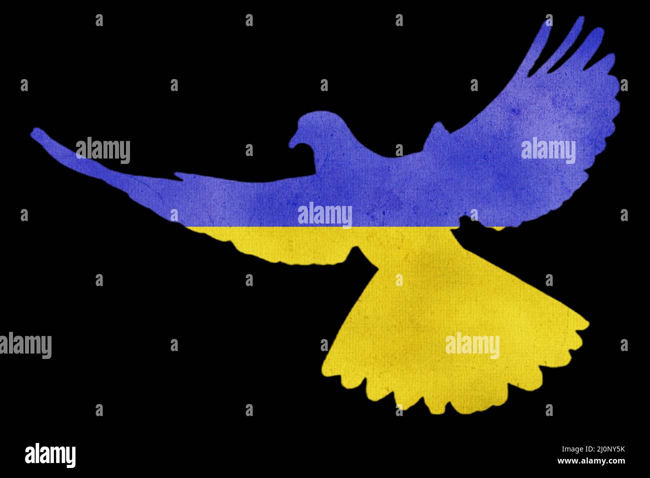 Ucraina guerra con invasione russa, raccolto di grano, Nazioni Unite ed Europa, bandiera, Pace dove, cuore, Foto Stock