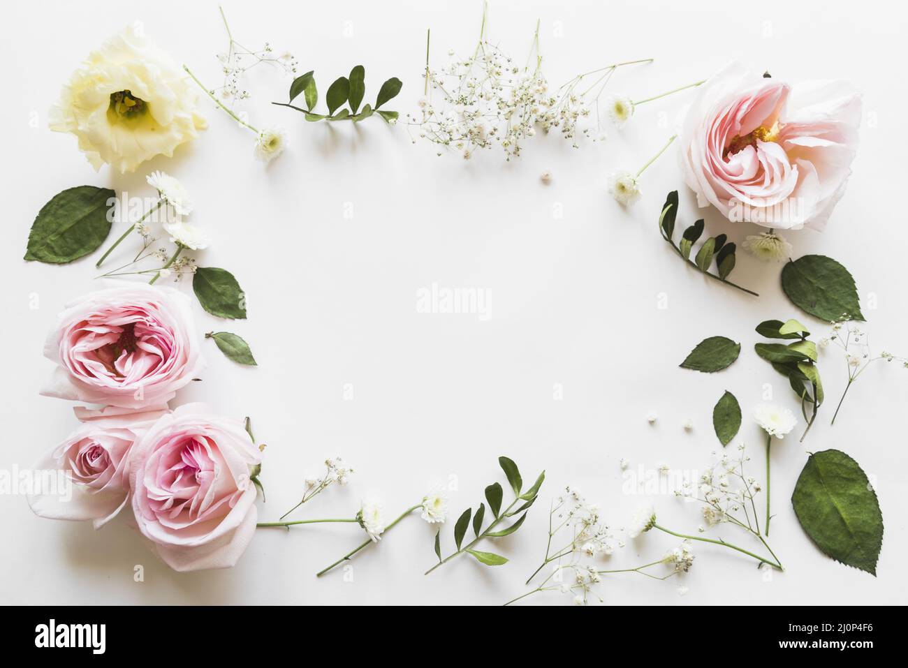 Vista dall'alto fiori foglie. Alta qualità e risoluzione bellissimo concetto di foto Foto Stock