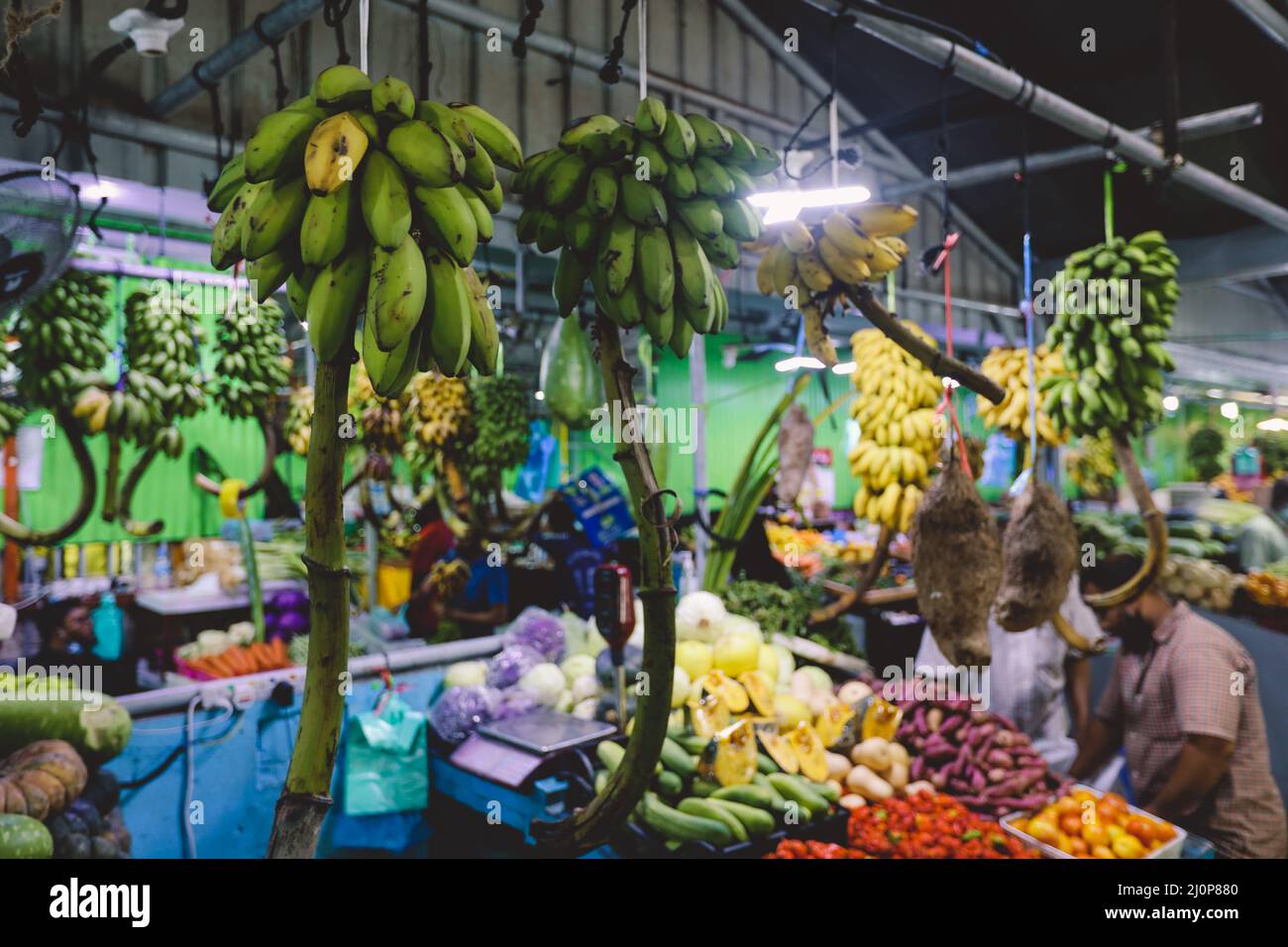 Frutta e verdura fresche e colorate sul mercato locale delle Maldive di Male City Foto Stock