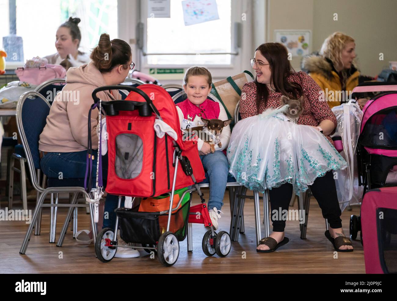 La gente frequenta l'Hollywood (Un giorno presso l'Oscar's) a tema Furbebes Dog Pageant al Collingham Memorial Hall di Leeds. Data foto: Domenica 20 marzo 2022. Foto Stock