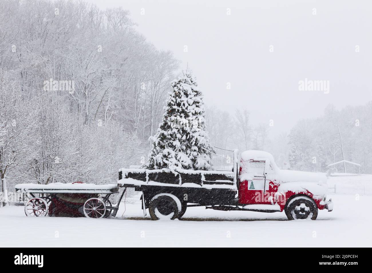 Un camion coperto di neve aspetta per consegnare Un albero di Natale durante Una tempesta di neve Foto Stock