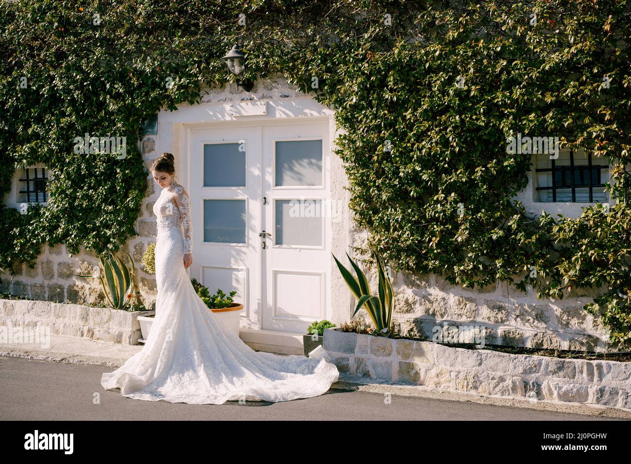 Sposa in un vestito sirena si trova di fronte alla porta di un edificio coperto di edera Foto Stock
