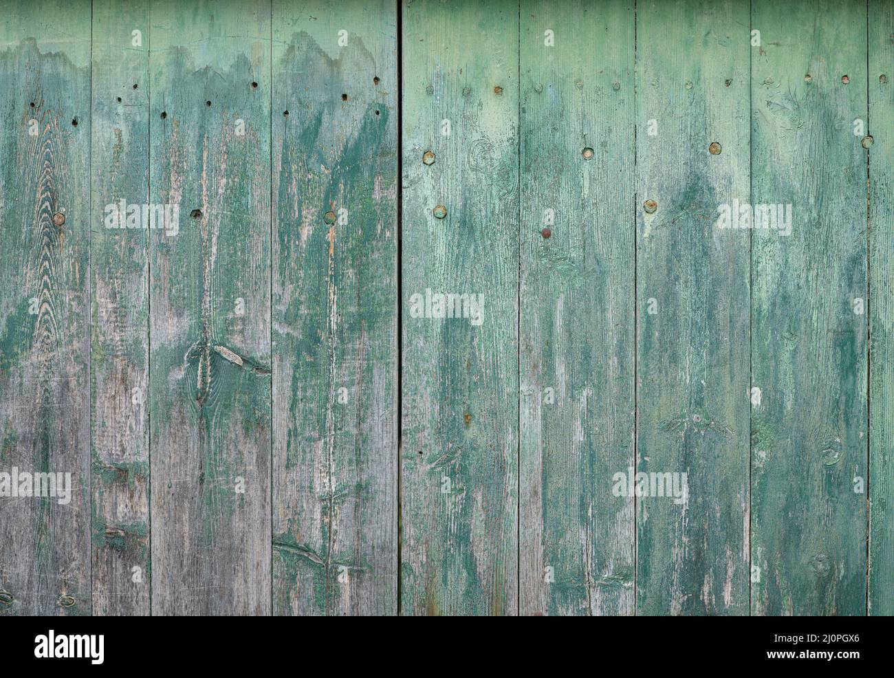 Fondo in legno di legno grigio ricoperto di vernice verde. Legno asse vecchi cancelli. Foto Stock