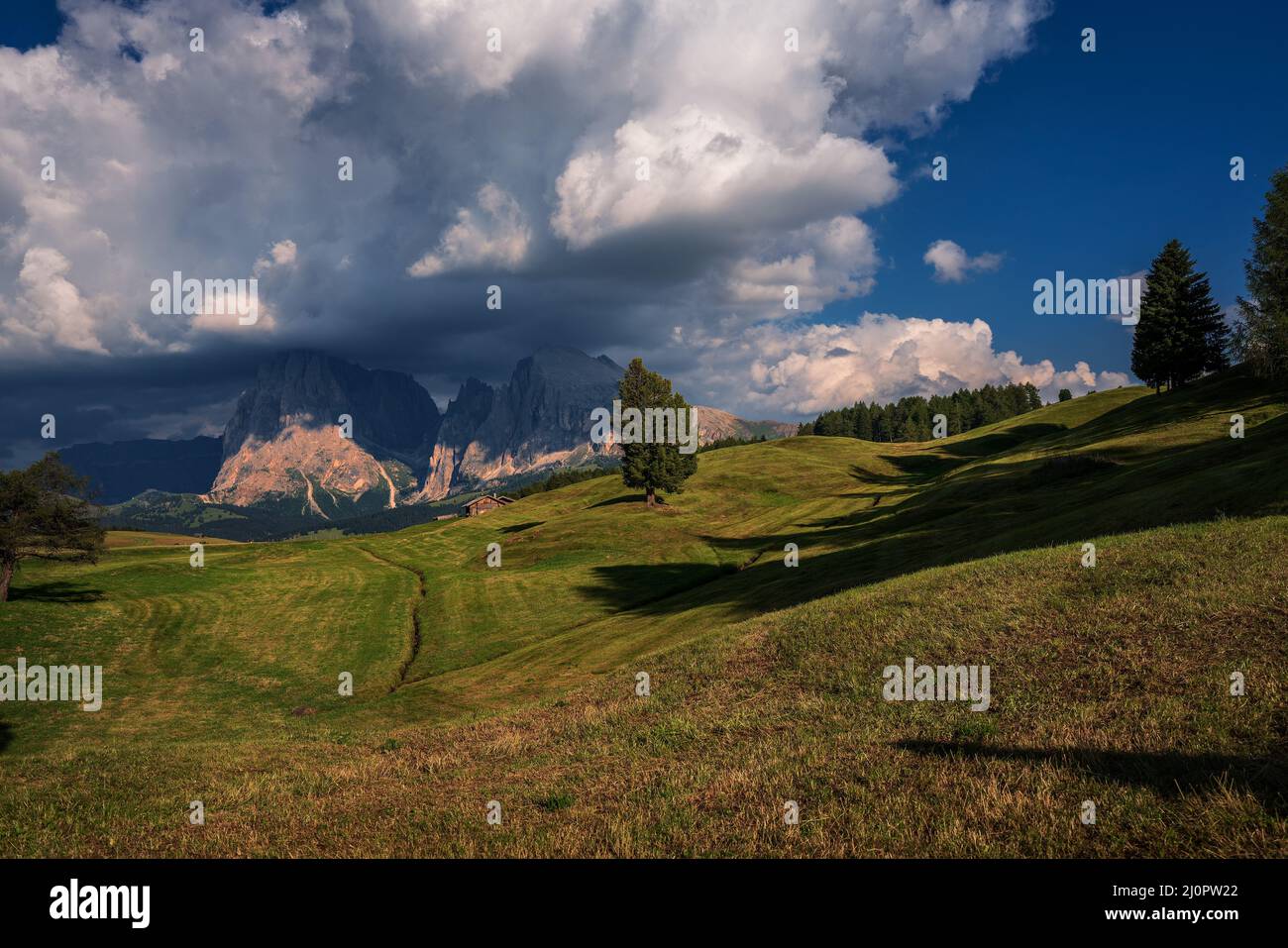 Vista sull'Alpe di Siusi. ( Alpe di Siusi ) Foto Stock