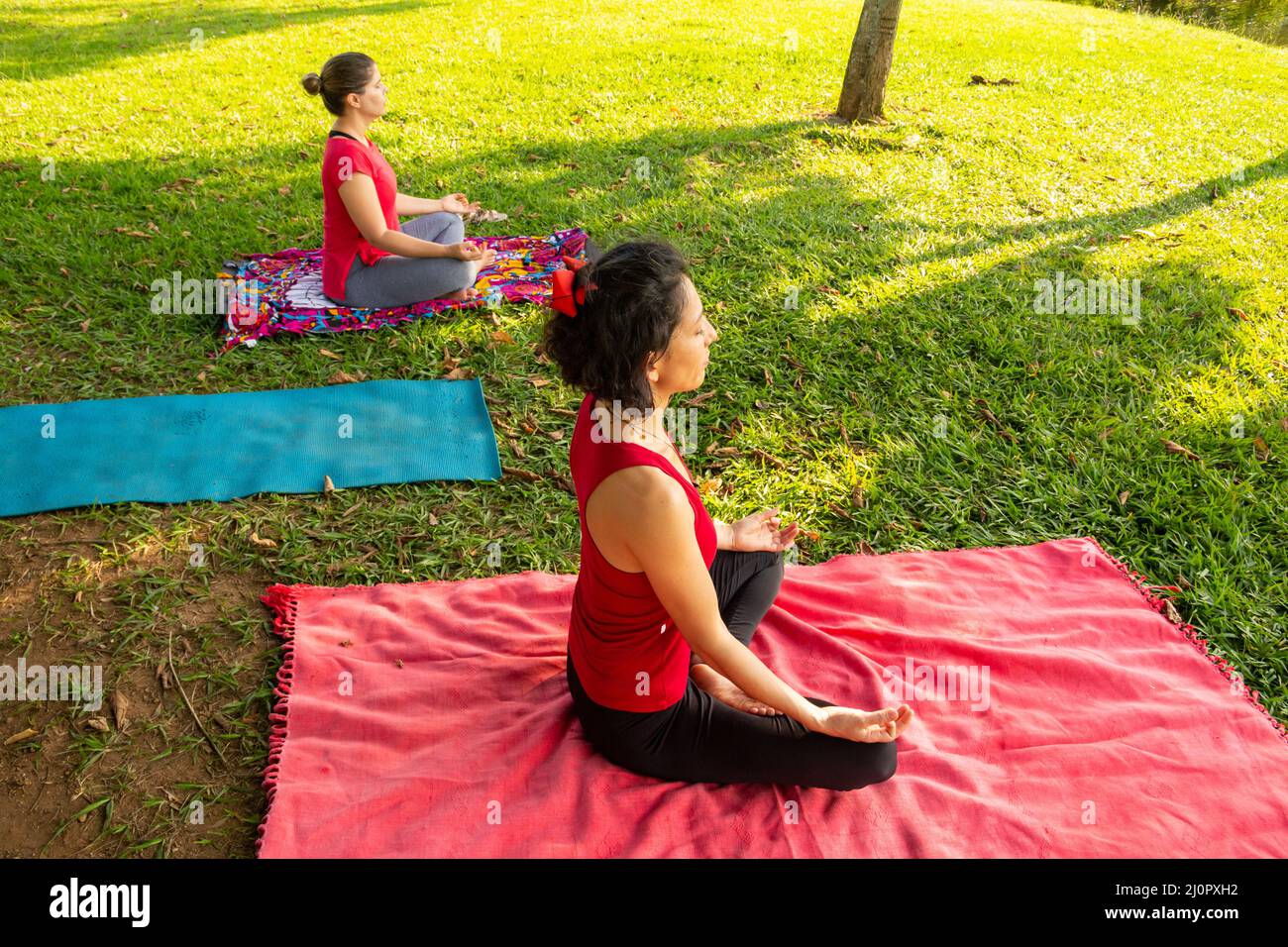 Goiânia, Goias, Brasile – 11 marzo 2022: Lezioni di yoga in un parco pubblico della città. Due persone che praticano lo yoga in un parco alberato e erboso. Foto Stock