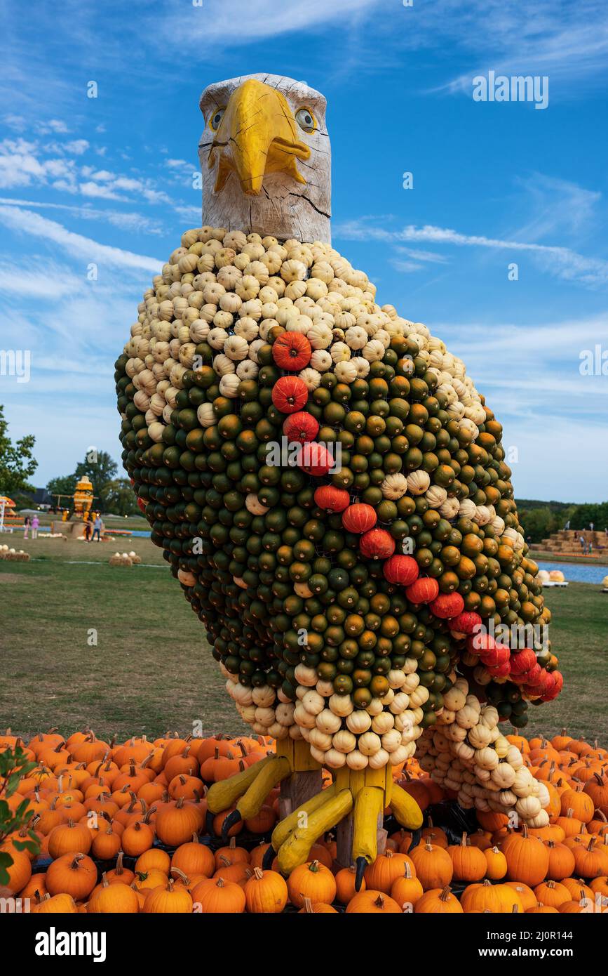 White-tailed eagle figura decorata con zucche Foto Stock