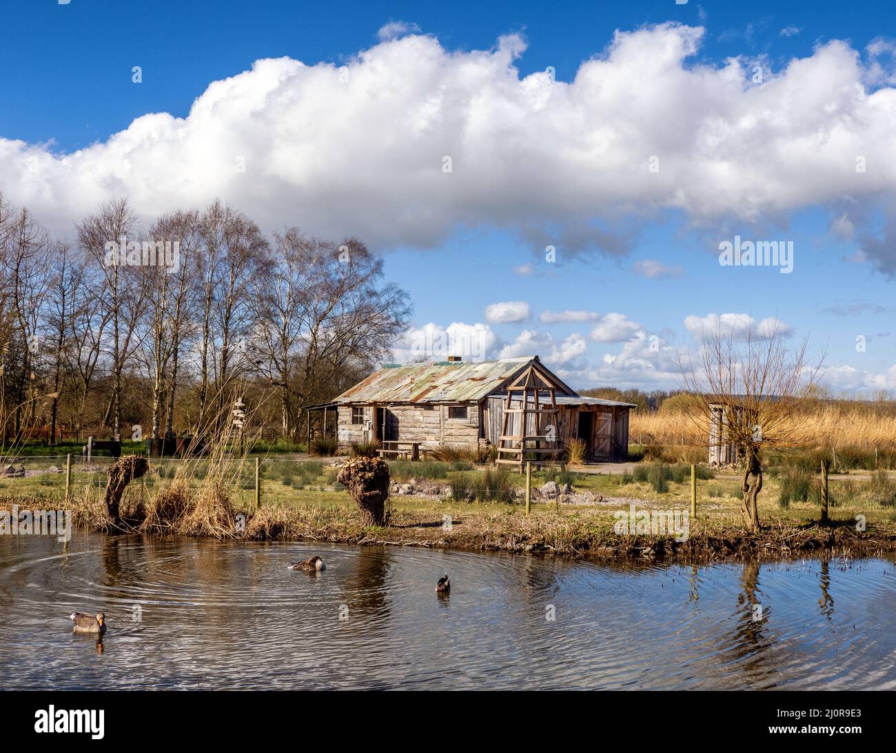 Capanna di ricerca artica a Slimbridge in Gloucestershire Regno Unito una replica dei quartieri viventi che Sir Peter Scott avrebbe potuto usare nella tundra artica Foto Stock