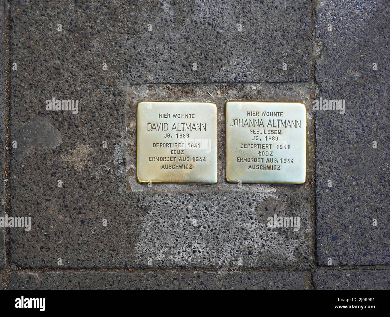 La cosiddetta 'tolpersteine' (letteralmente: Pietre inciampanti) per David e Johanna Altmann in Düsseldorf/Germania. Foto Stock