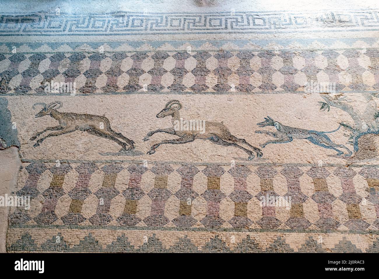 Un mosaico di scena di caccia che mostra un cane caccia cervo nella Casa di Dioniso, Paphos Parco Archeologico, Paphos, Cipro. Foto Stock