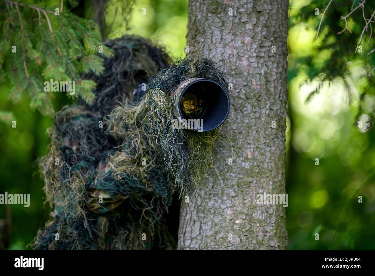 Fotografo di fauna selvatica in estate ghillie camouflage tuta che lavora in natura Foto Stock
