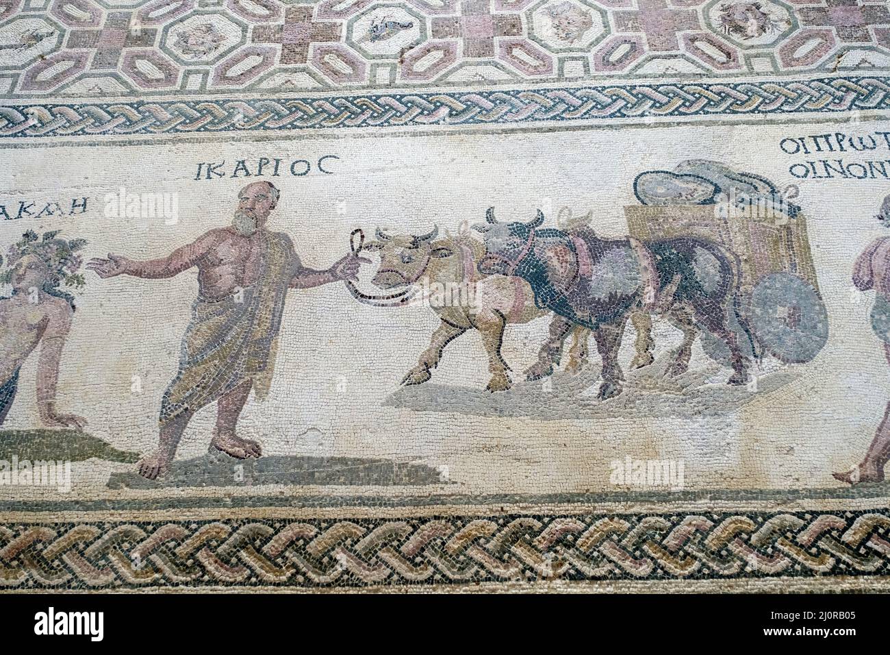 Casa di Dionysos, Cipro: Pannello mosaico pavimento romano raffigura Icarios che regge le redini di un carro a due ruote trainato da bue, pieno di sacchi di vino. Foto Stock