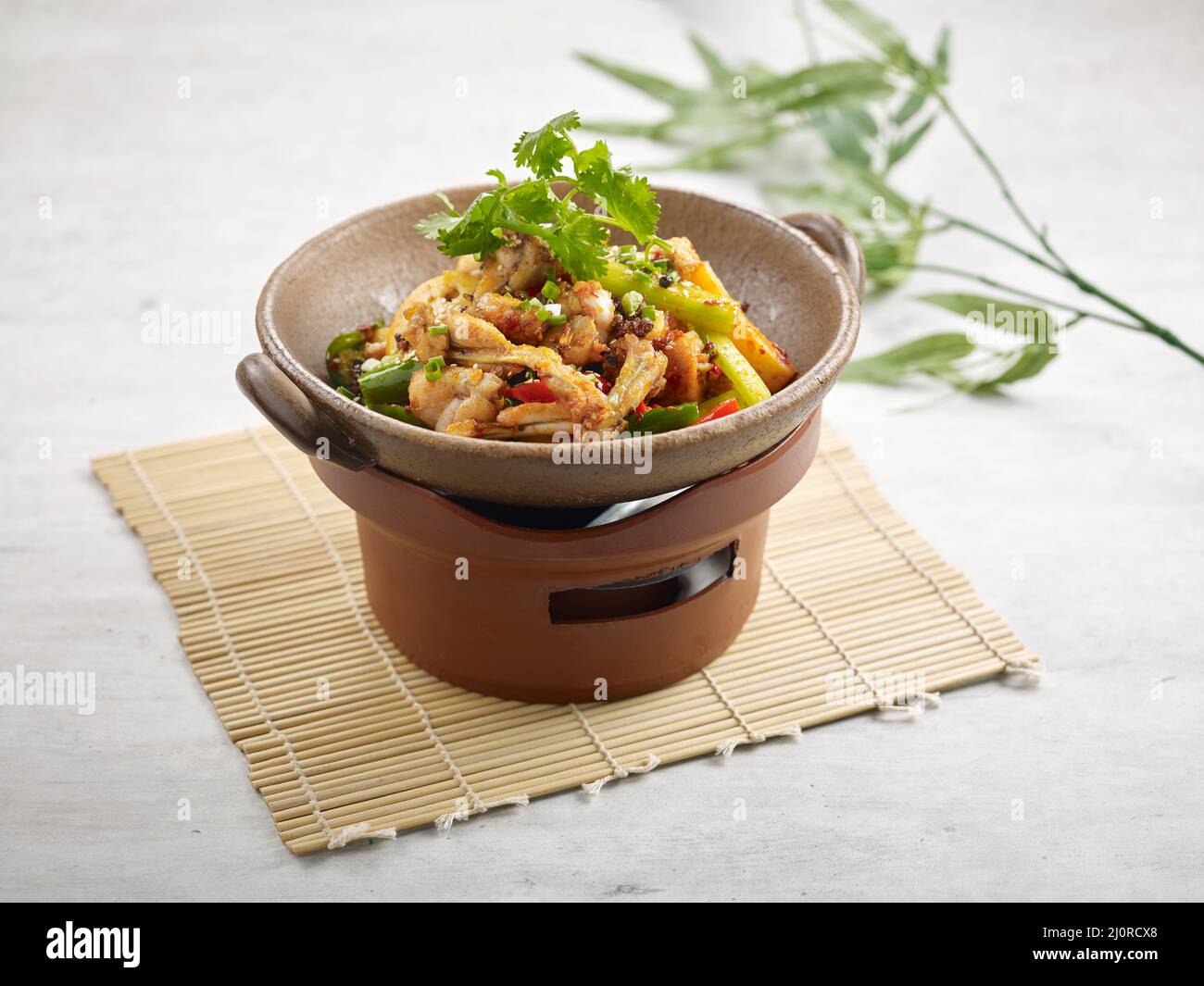 Chinese Dry Pot Bull Frog in un piatto isolato sullo stufato vista laterale su sfondo grigio Foto Stock