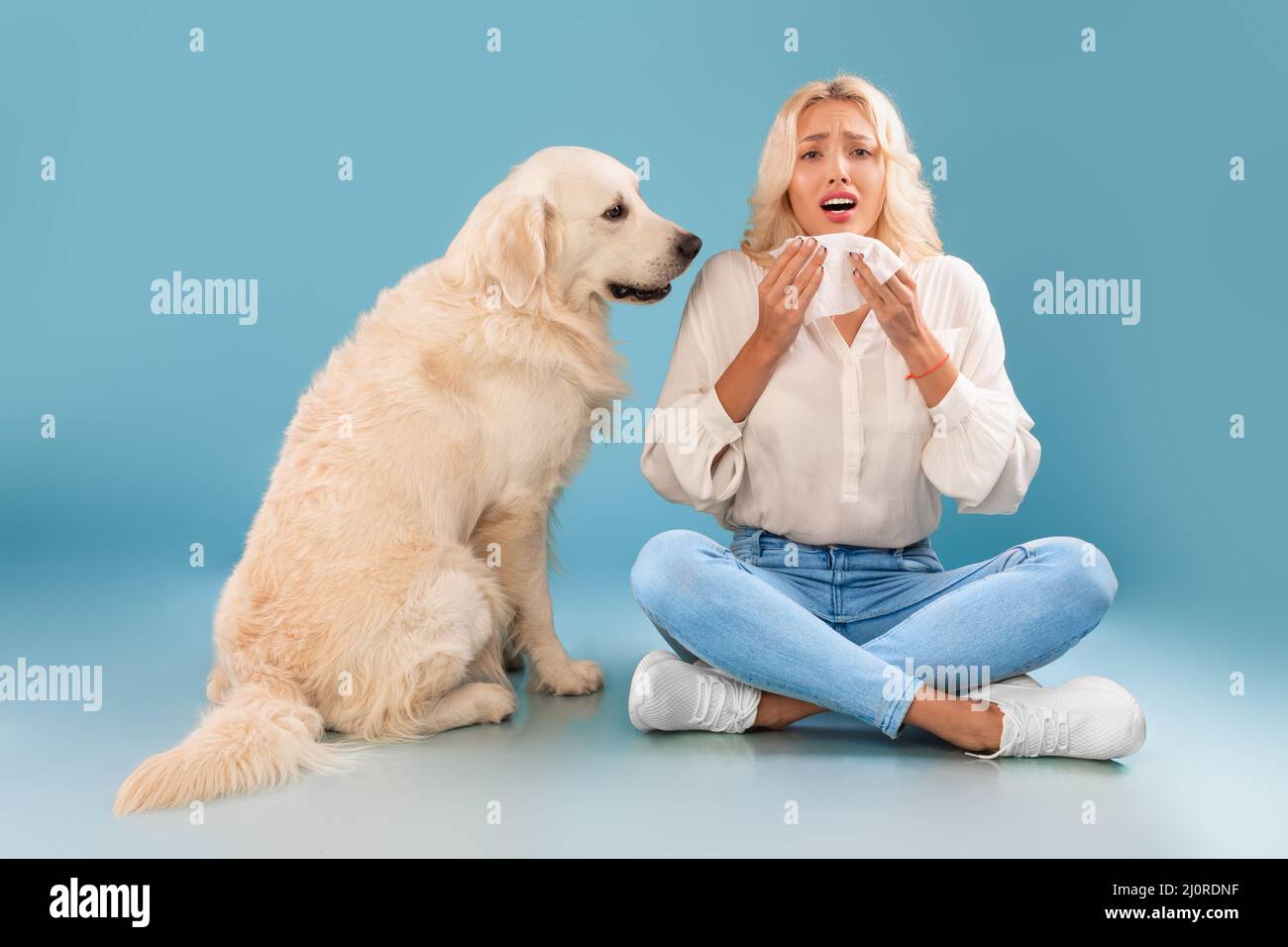 Concetto di allergia animale. Donna starnutita, affetta da congestione nasale Foto Stock