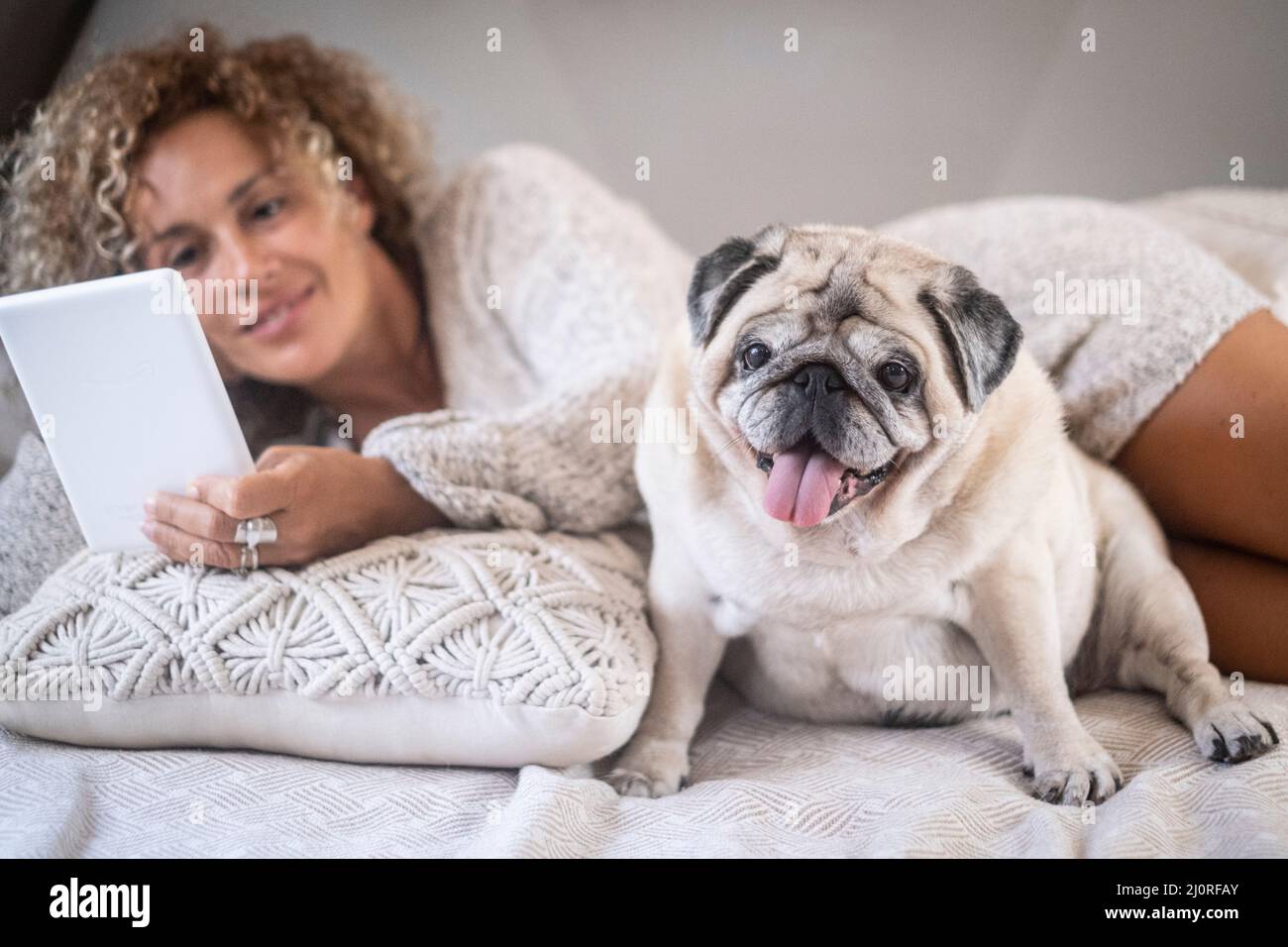 Ritratto di cane felice con donna padrone rilassarsi posando nel letto a casa. Allegra gente femminile che legge e-book con lettore moderno e godere del suo meglio Foto Stock