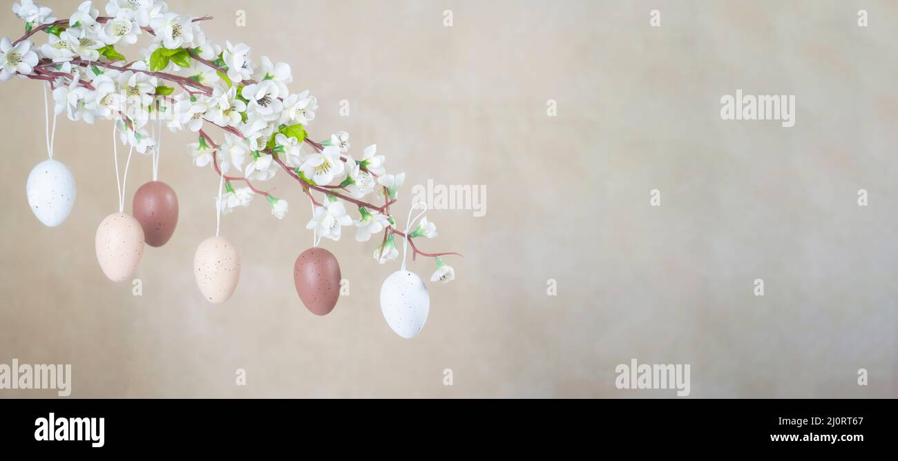 Uova di Pasqua naturali non colorate appese sul ramo con fiori bianchi. Foto Stock