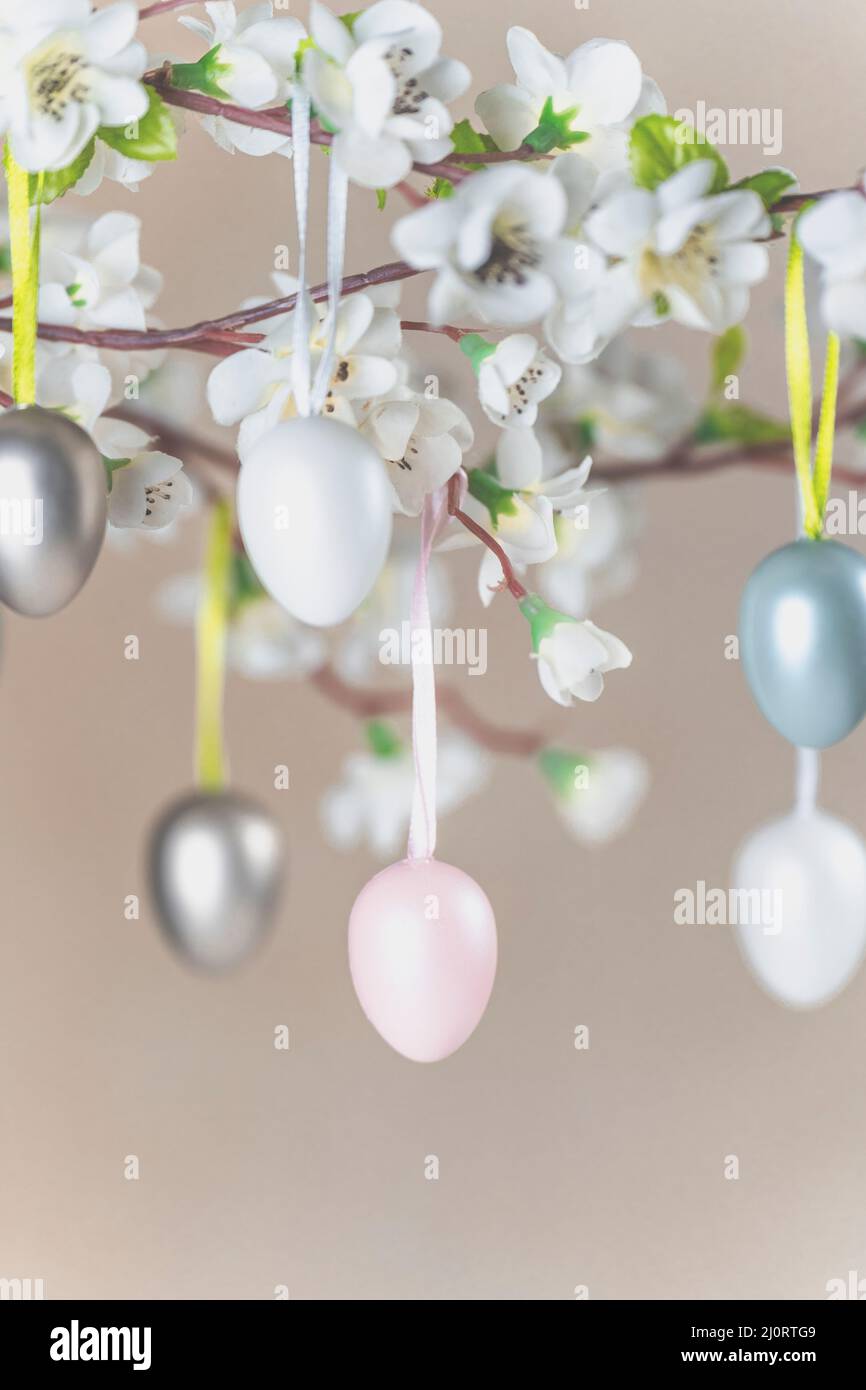 Uova di Pasqua colorate appese sul ramo con fiori bianchi Foto Stock