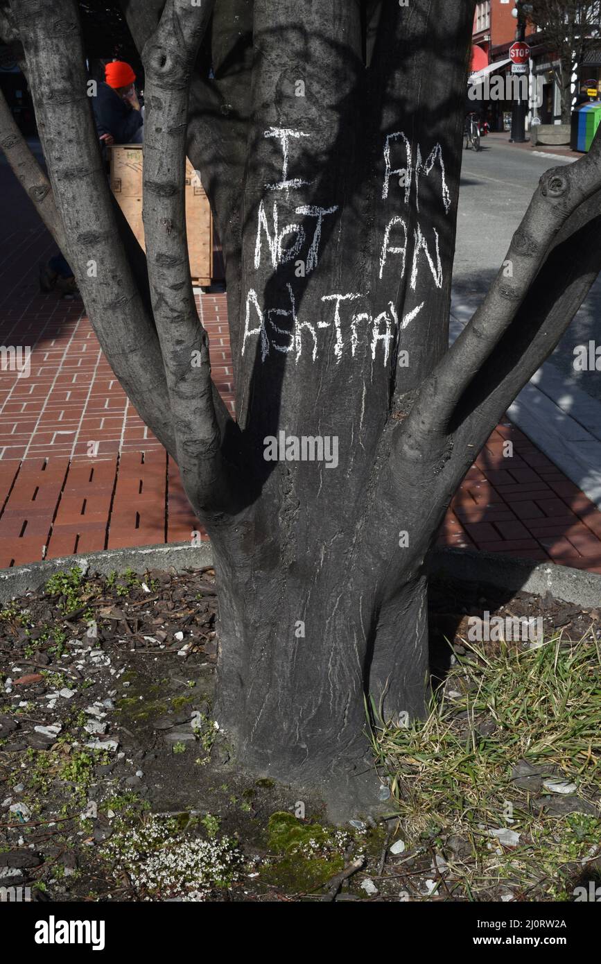 Il segno calciato sull'albero dice che non sono un Ashtray che avverte la gente di non mettere rifiuti intorno all'albero Foto Stock