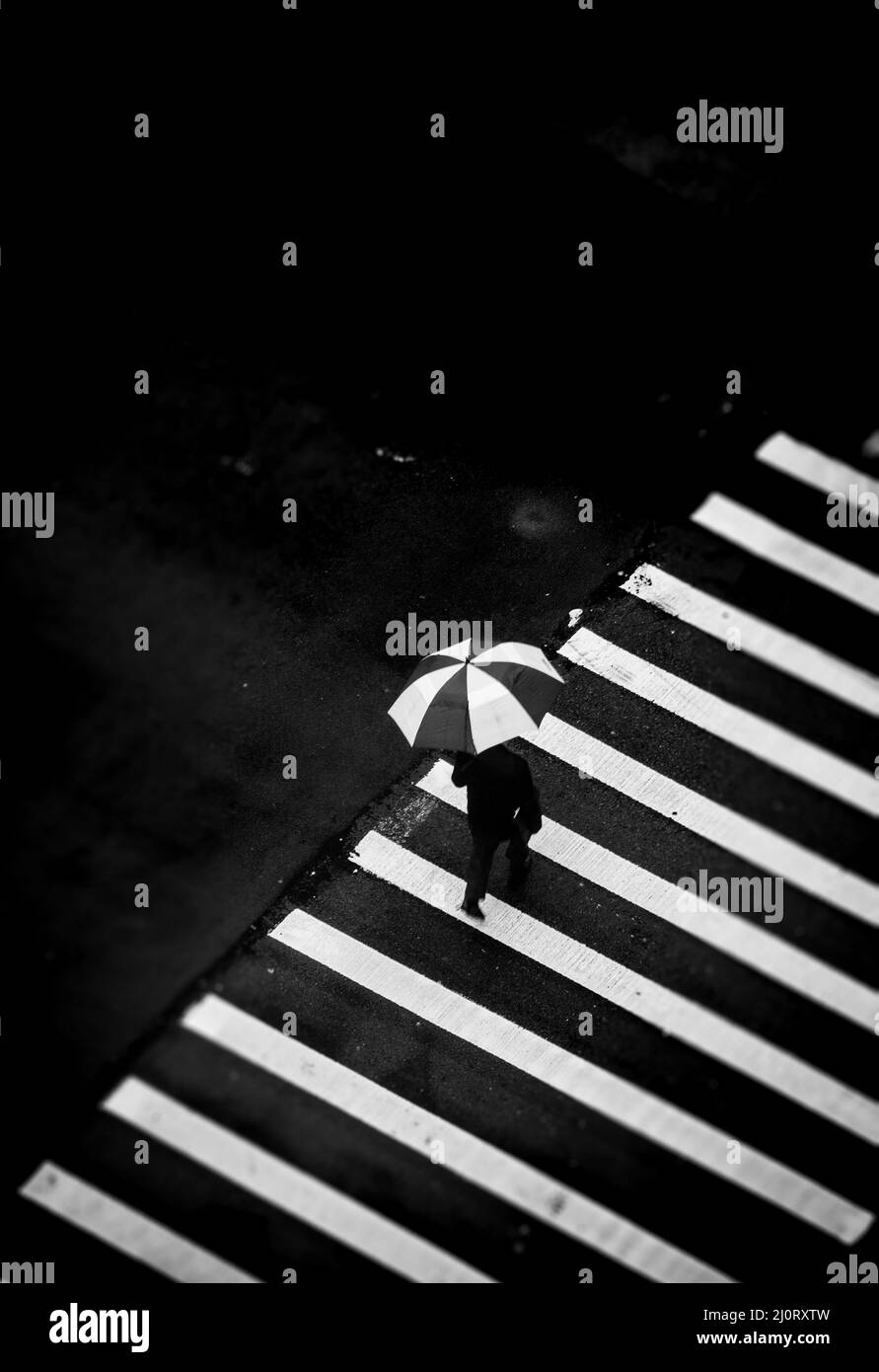 un uomo dietro un ombrello su un attraversamento pedonale Foto Stock